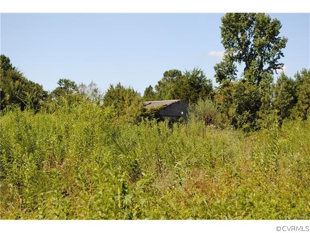 0 Sawmill Road Prince George, VA 23875 - Photo 8 of 14 Gallery Image 8