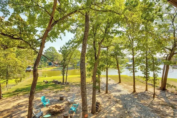 a view of a yard with trees