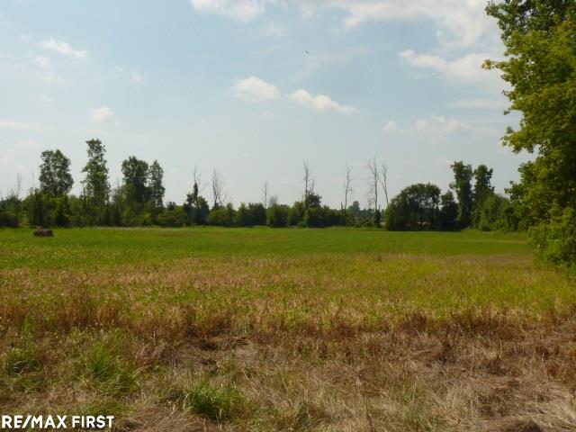 0 Belle River Road Allenton, MI 48002 - Photo 6 of 20