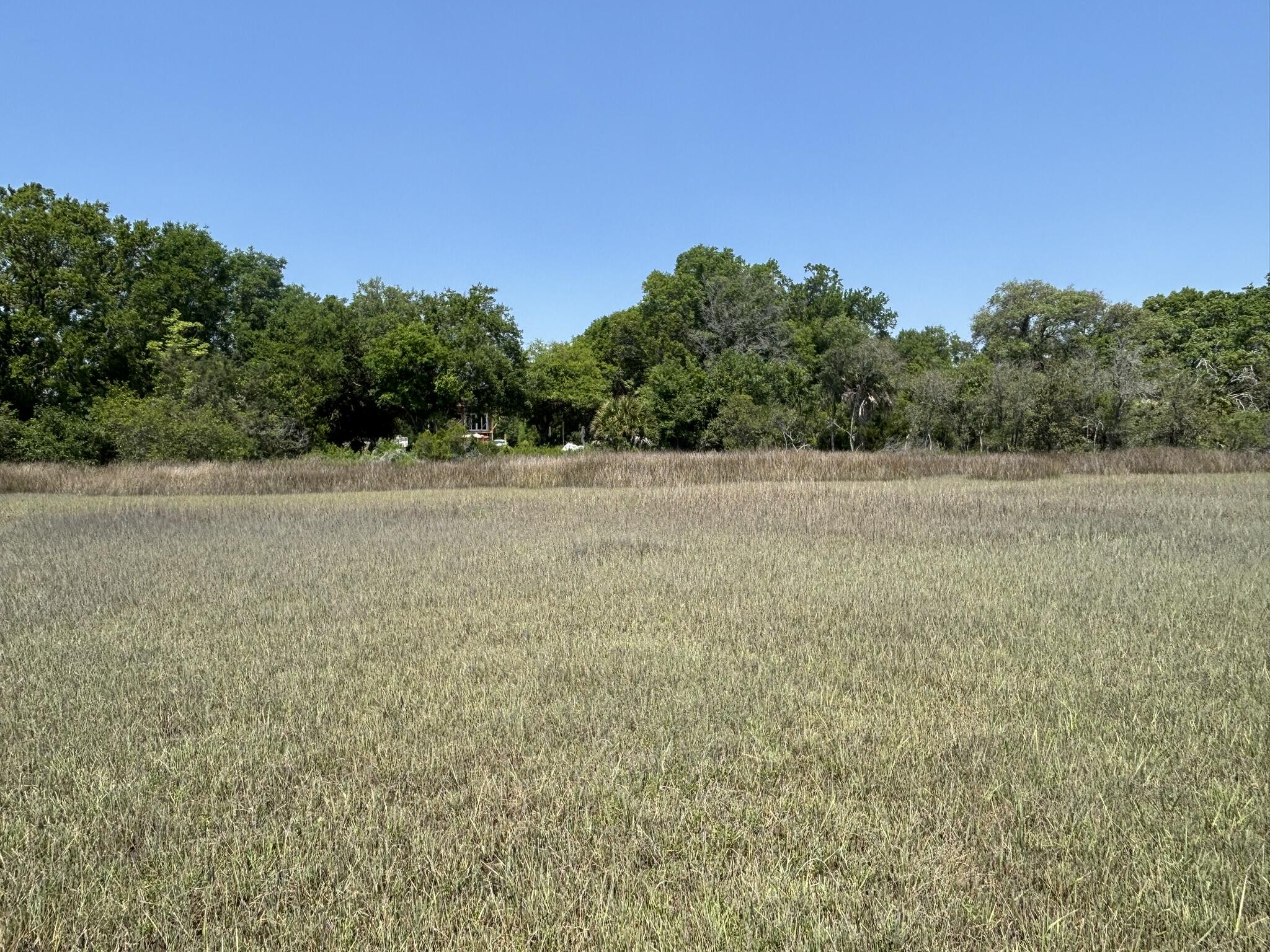 2035 Sol Legare Road Charleston, SC 29412 - Photo 22 of 26 IMG_2309