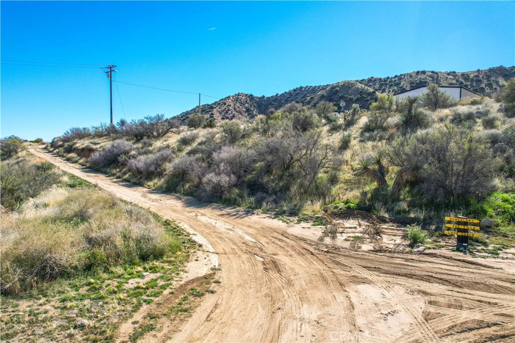49490 Big Morongo Canyon Road Morongo Valley, CA 92256 - Photo 67 of 75 a view of a backyard of a house