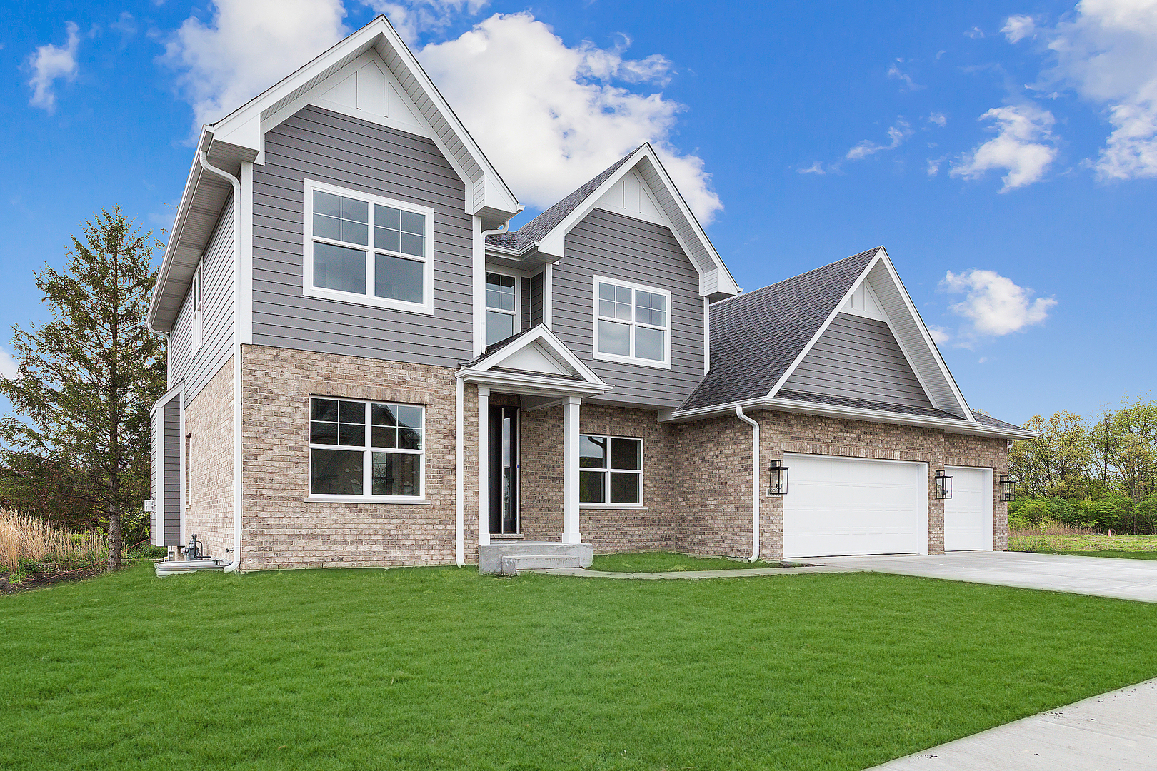 12790 Rosa Lane Lemont, IL 60439 - Photo 3 of 8