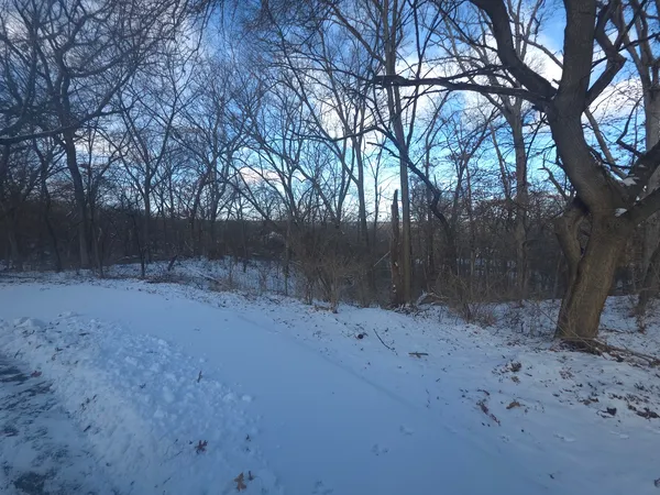 a view of a yard covered with snow
