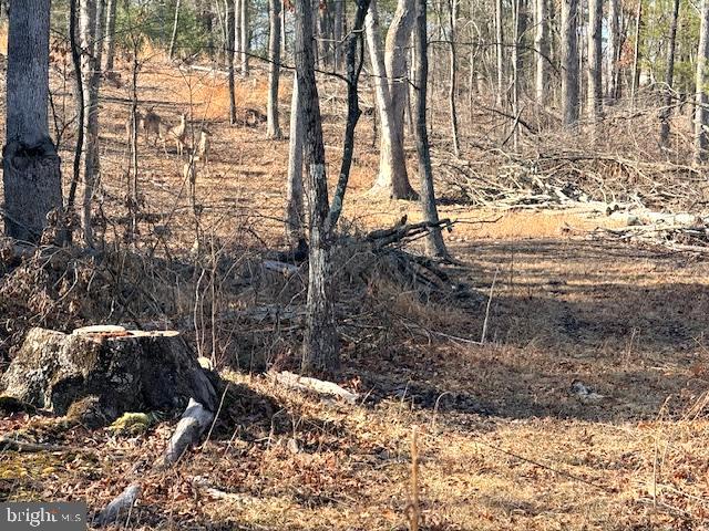 1156 Providence Church Road Hedgesville, WV 25427 - Photo 98 of 101