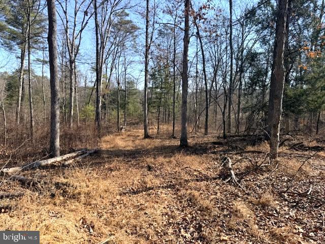 1156 Providence Church Road Hedgesville, WV 25427 - Photo 99 of 101