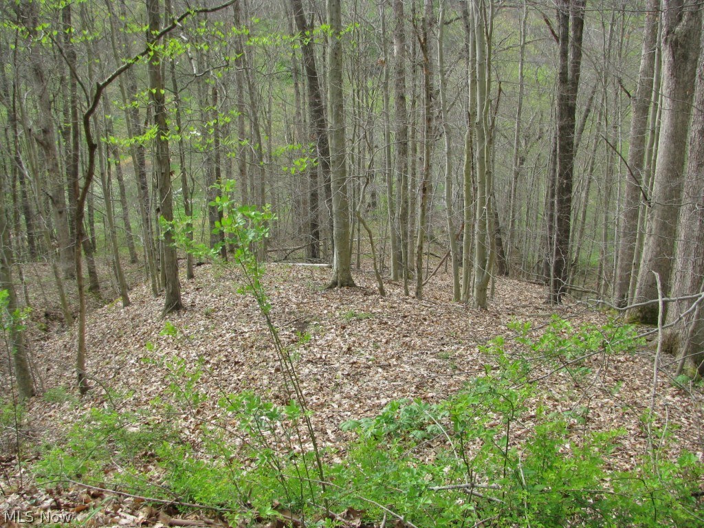 1767 Spruce Creek Road Auburn, WV 26325 - Photo 8 of 18