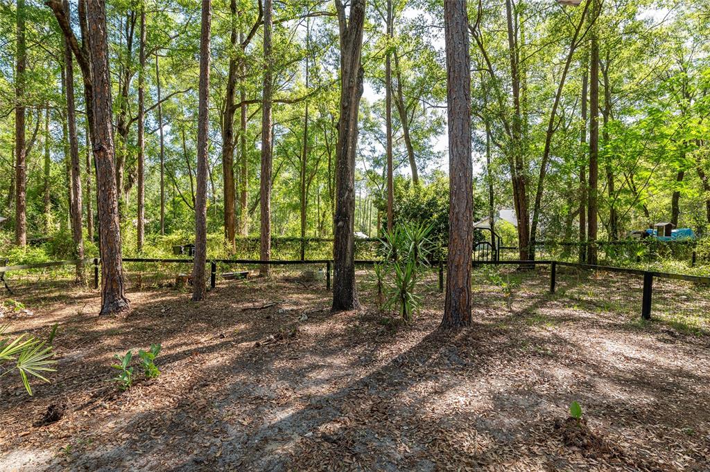 9917 Southwest 77 Court Gainesville, FL 32608 - Photo 24 of 28 a view of outdoor space and green space