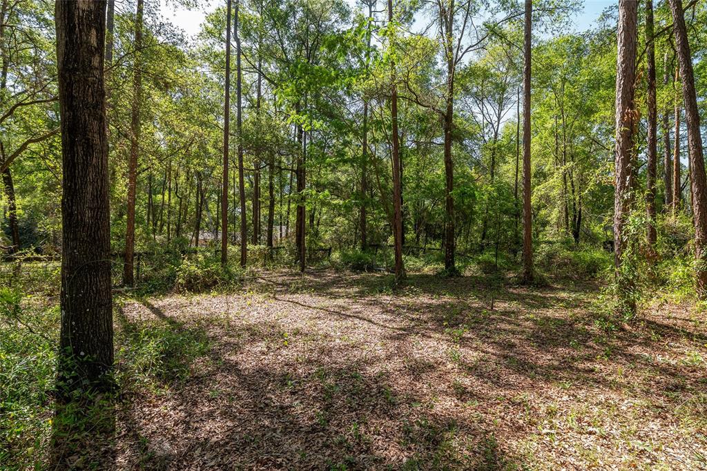 9917 Southwest 77 Court Gainesville, FL 32608 - Photo 26 of 28 a view of outdoor space with trees