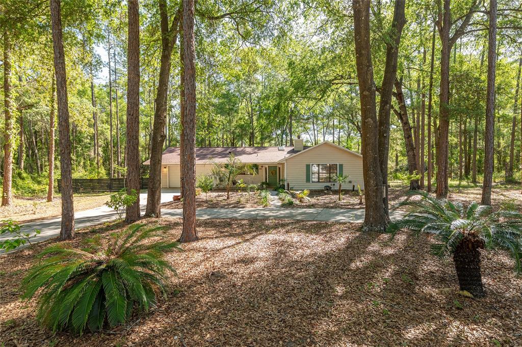 9917 Southwest 77 Court Gainesville, FL 32608 - Photo 7 of 28 a view of a house with backyard and trees