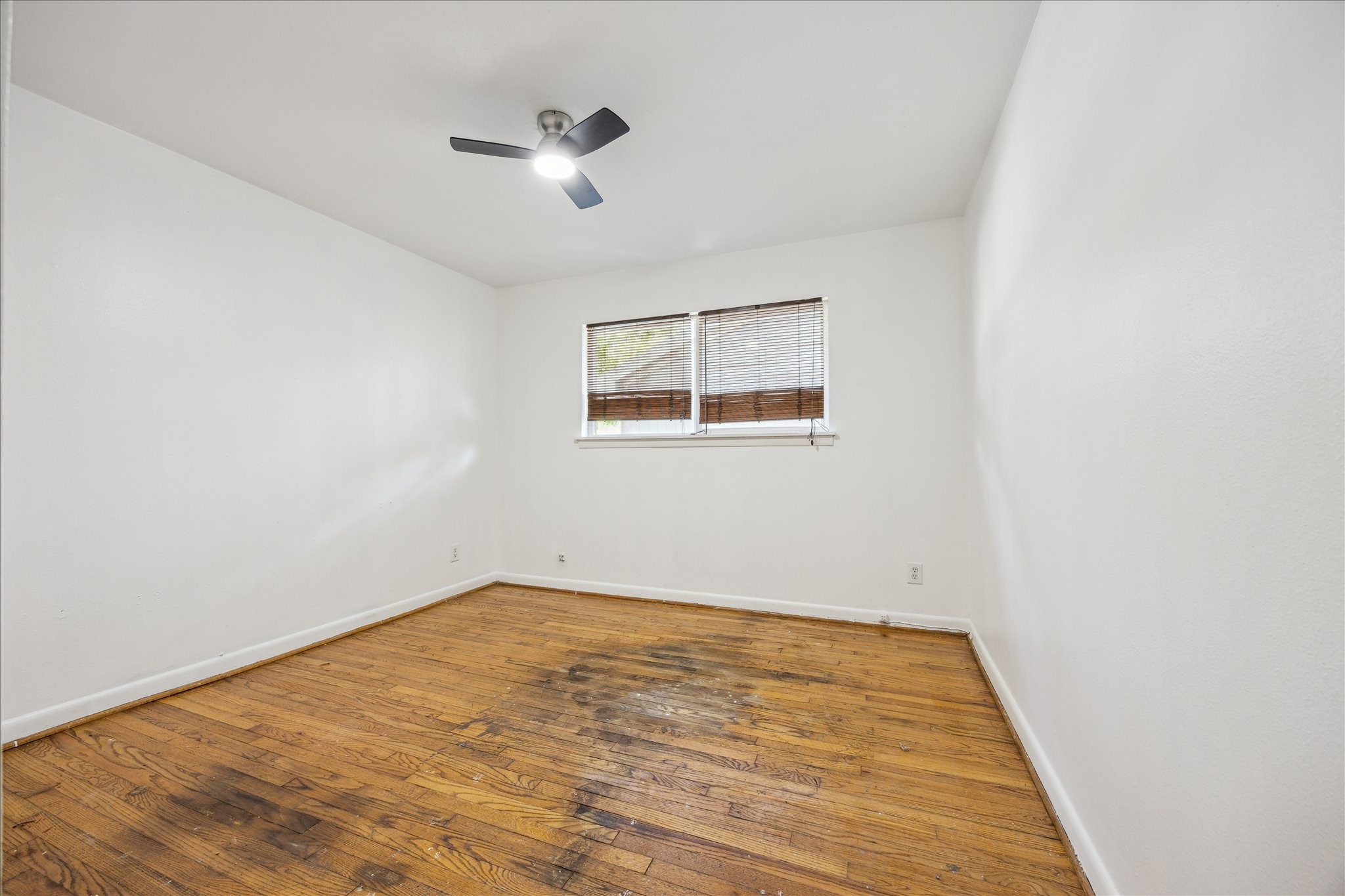 5419 Beechnut Street Houston, TX 77096 - Photo 16 of 28 Bedroom with wood flooring, ceiling fan with light, and window for natural light.