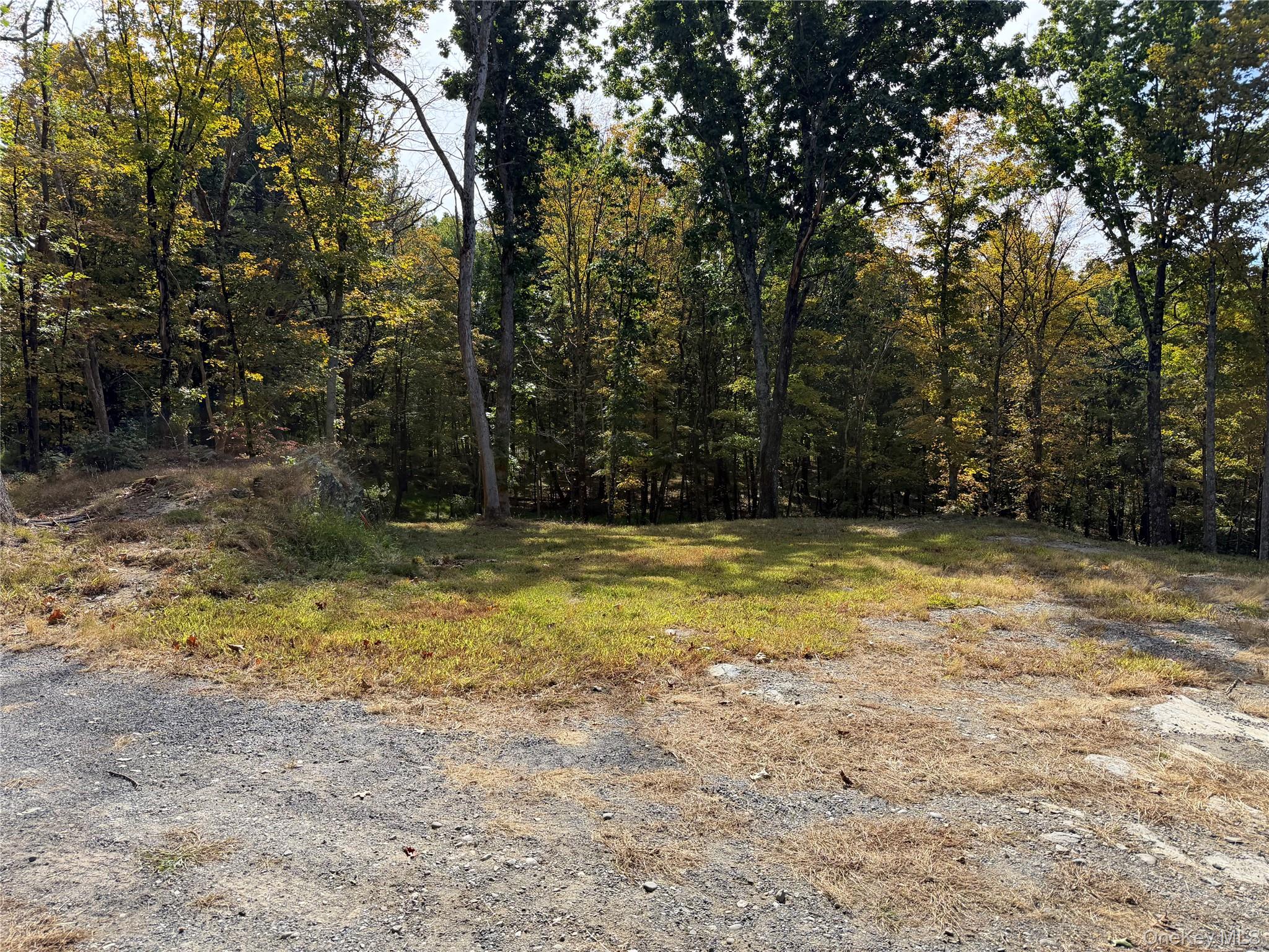 Lot 2 Church Road Red Hook, NY 12571 - Photo 13 of 16 Gallery Image 13