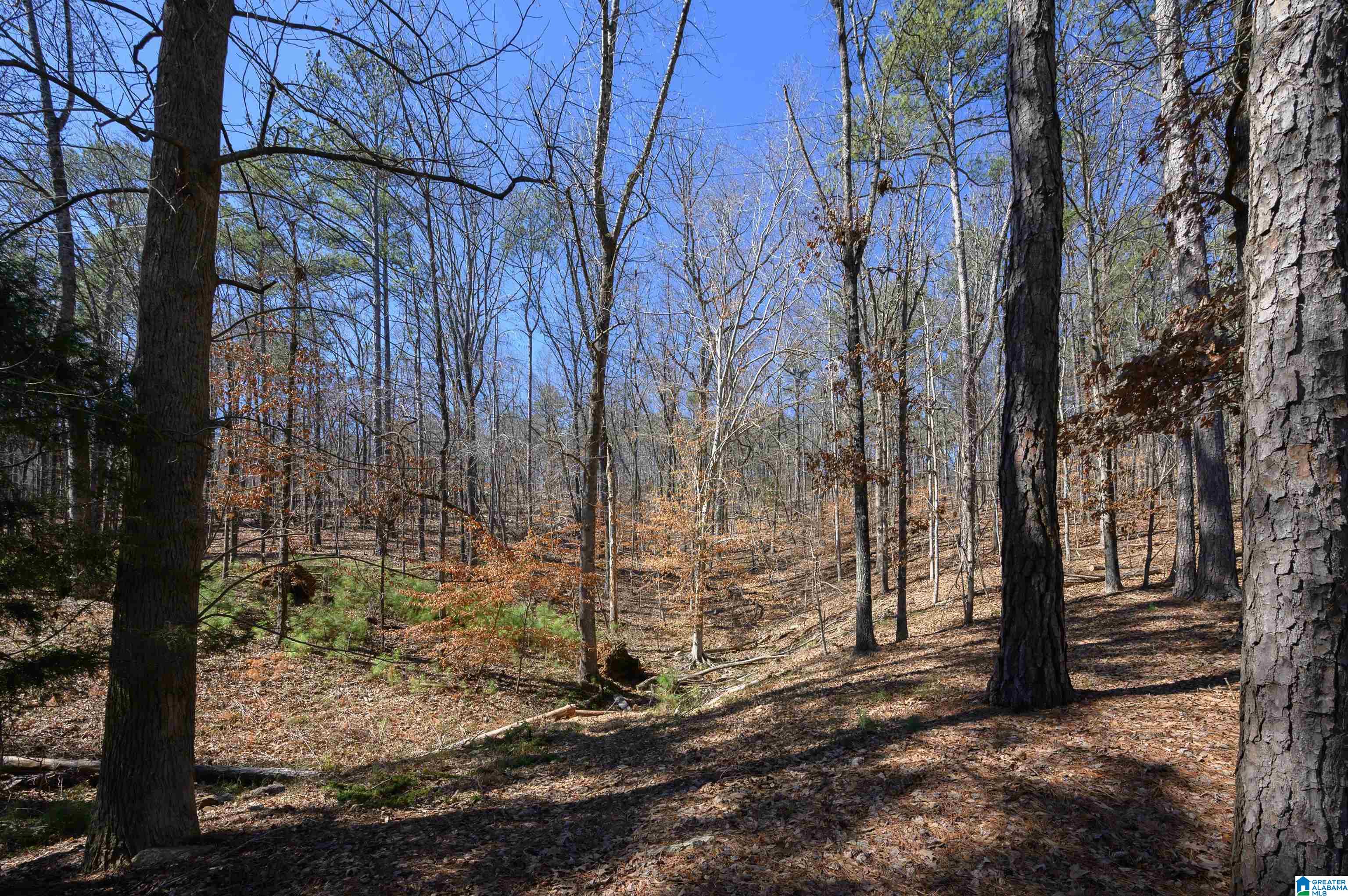 1935 Arabian Road Columbiana, AL 35051 - Photo 57 of 80