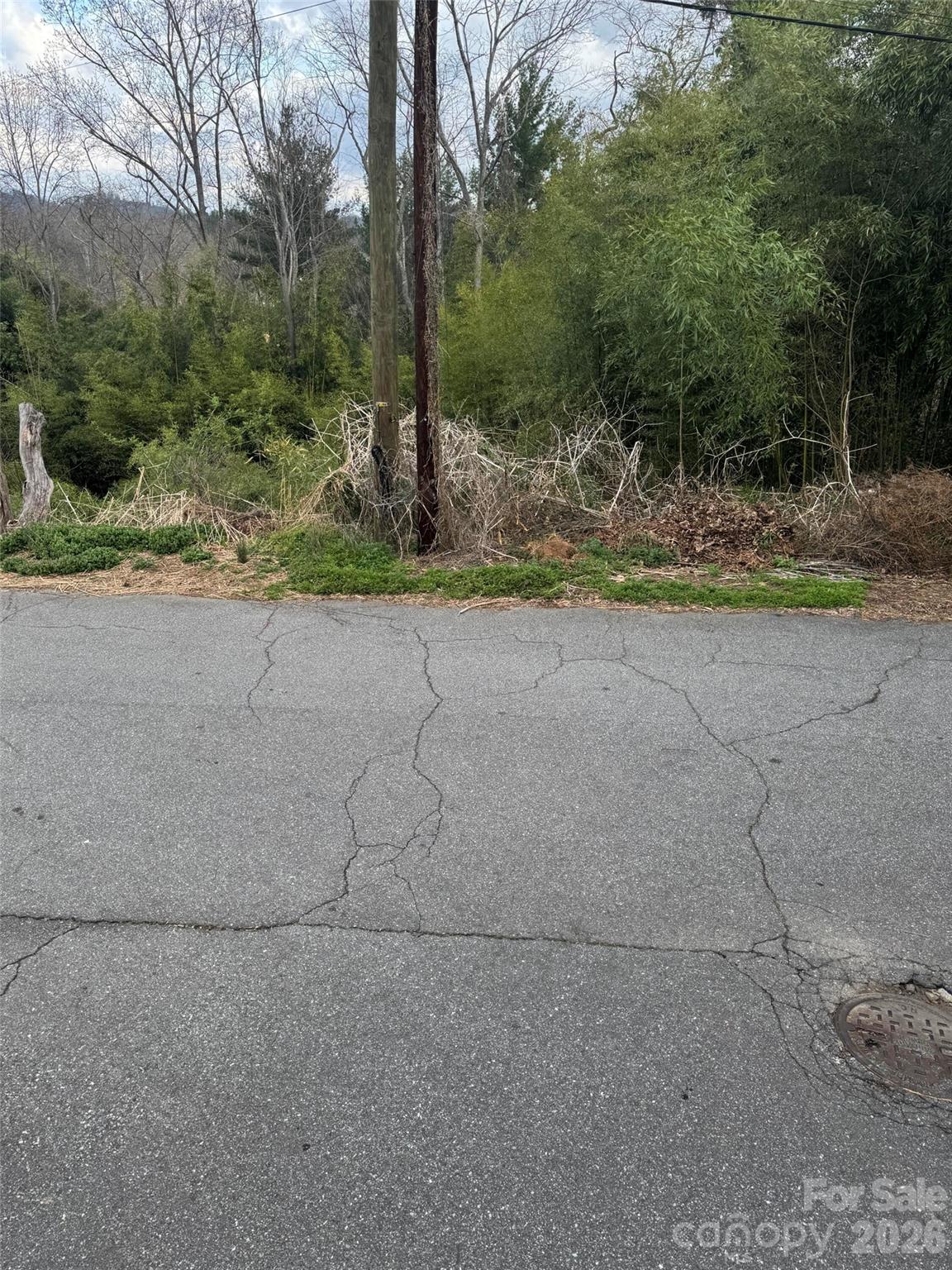 38 Belleair Road Asheville, NC 28806 - Photo 1 of 2 a view of outdoor space and yard