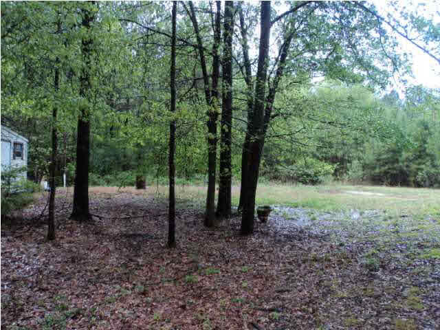 1150 Dennis Road Walnut Grove, MS 39189 - Photo 4 of 7 Back yard