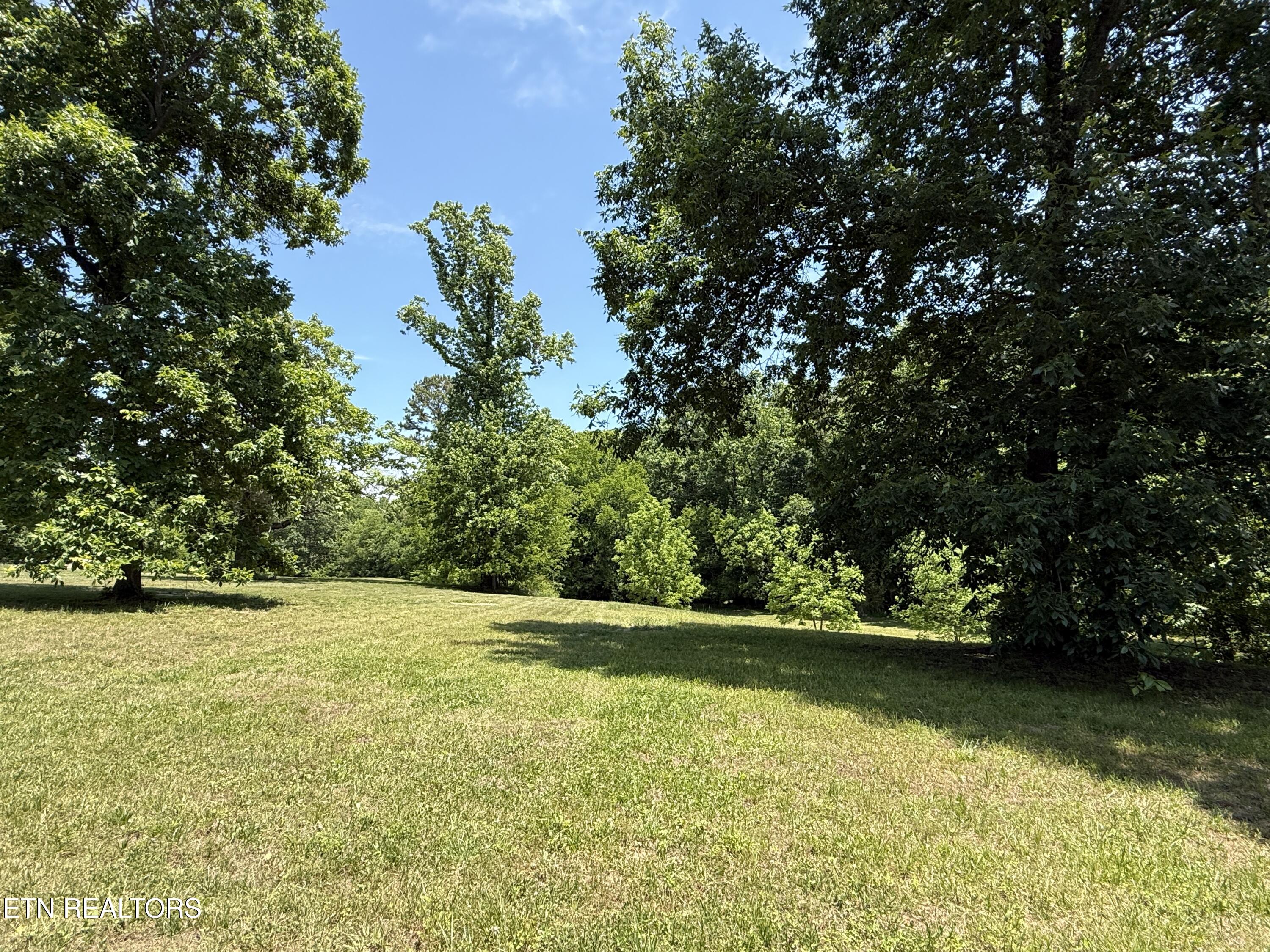Richland Road Blaine, TN 37709 - Photo 15 of 25 IMG_5459