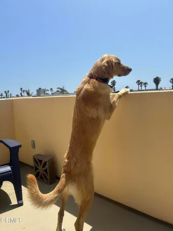 $1,069,000 | 5442 Driftwood Street, Oxnard, CA 93035