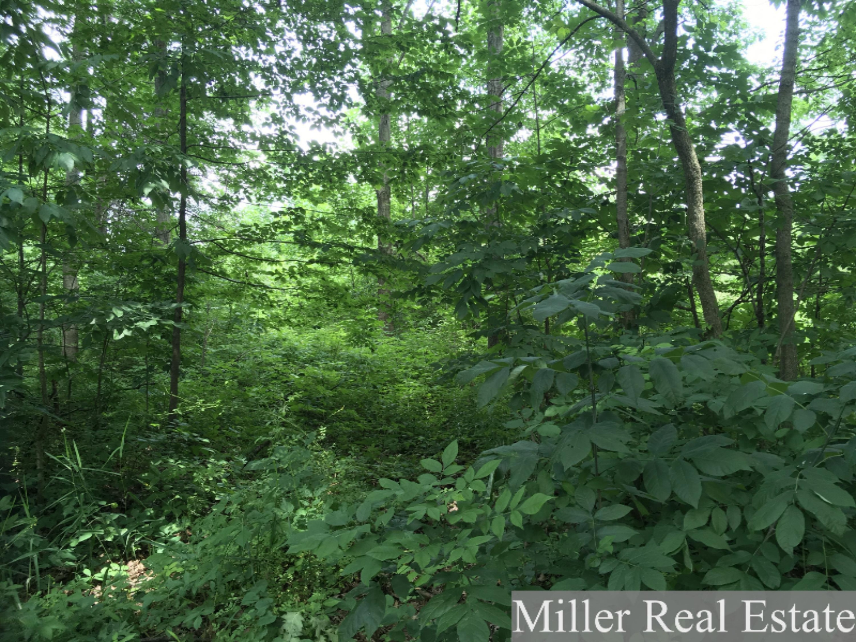 East Sager Road, Unit 2 Hastings, MI 49058 - Photo 2 of 5 Photo Jul 11, 1 42 21 PM (1)