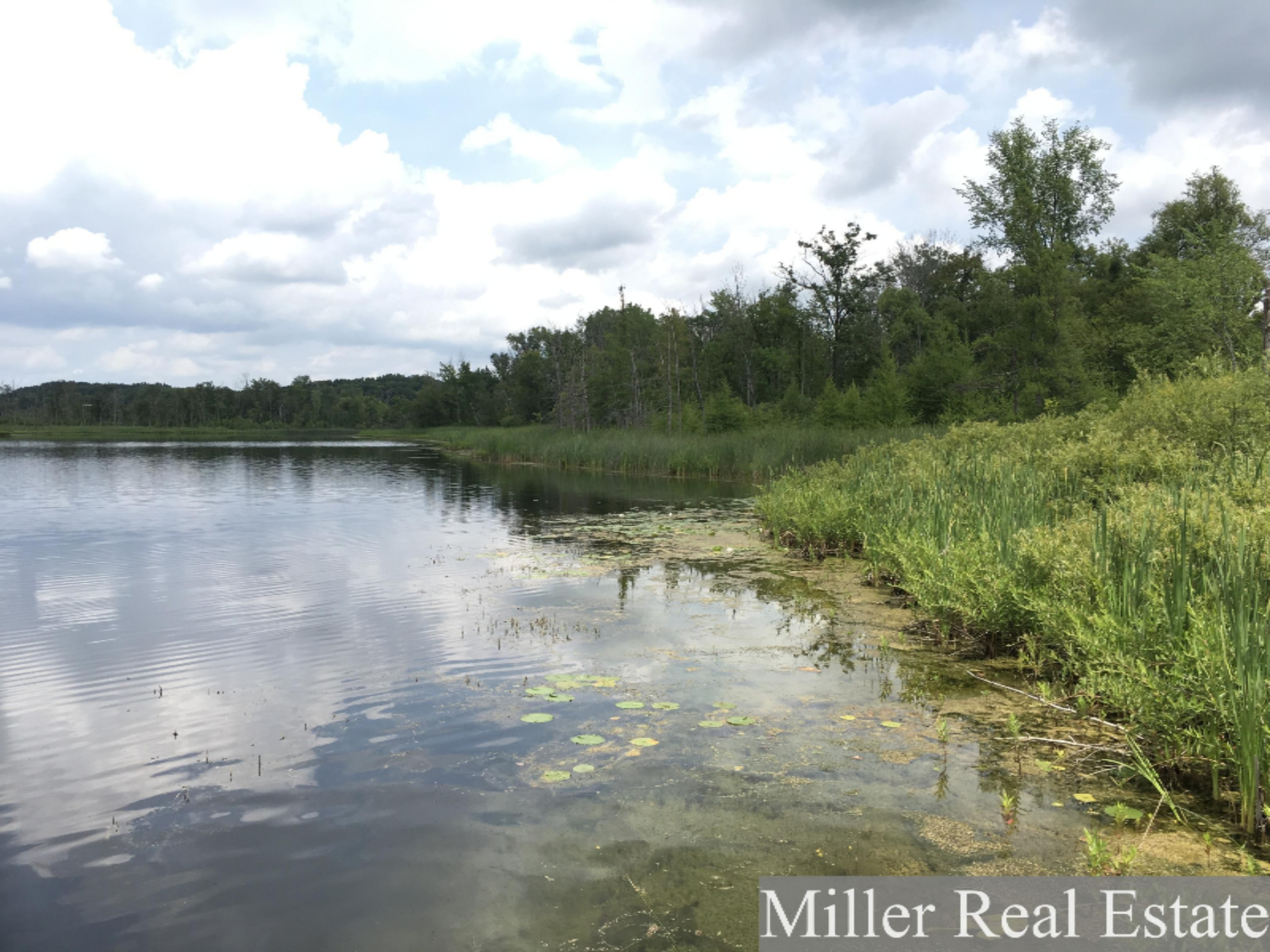 East Sager Road, Unit 2 Hastings, MI 49058 - Photo 3 of 5 Photo Jul 11, 1 53 30 PM