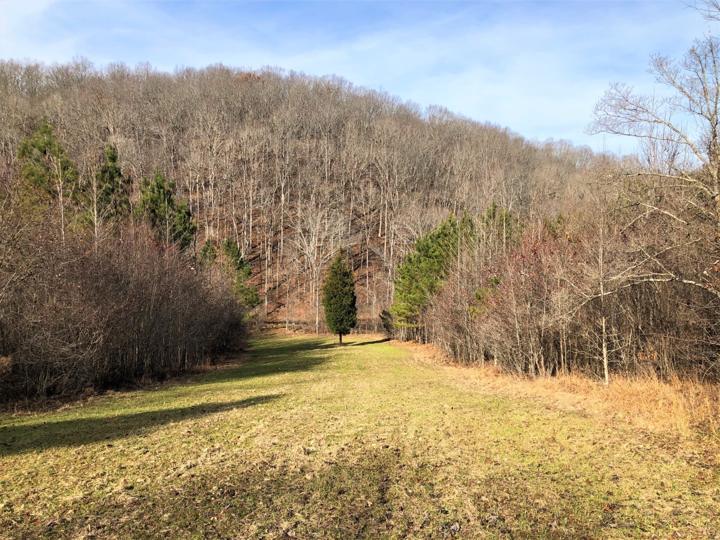 86 Kimbrell Road Westpoint, TN 38486 - Photo 38 of 50