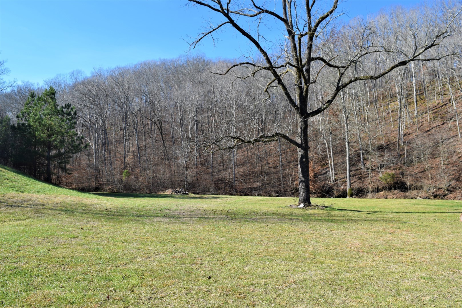 86 Kimbrell Road Westpoint, TN 38486 - Photo 42 of 50