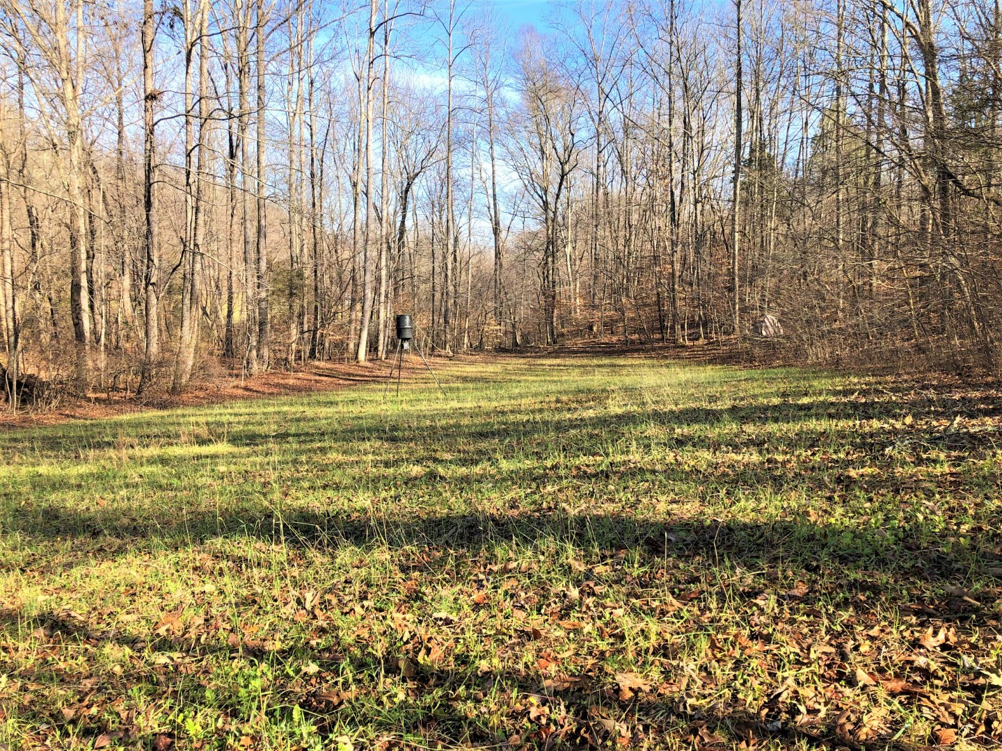 86 Kimbrell Road Westpoint, TN 38486 - Photo 45 of 50