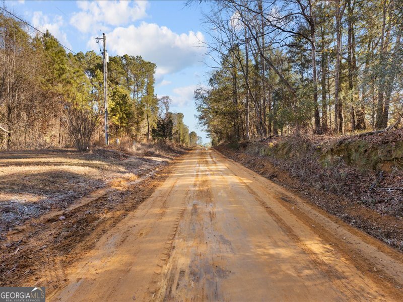 221 Sunset Point Road Fort Gaines, GA 39851 - Photo 30 of 58