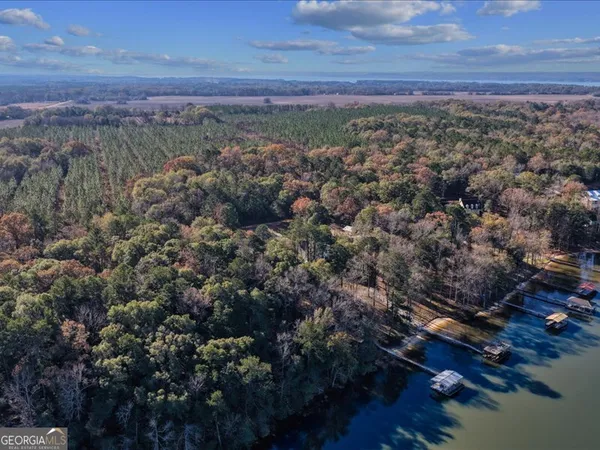 $450,000 | 221 Sunset Point Road, Fort Gaines, GA 39851
