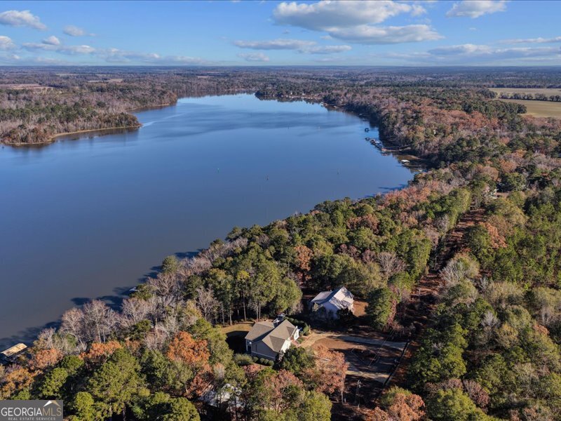 221 Sunset Point Road Fort Gaines, GA 39851 - Photo 50 of 58