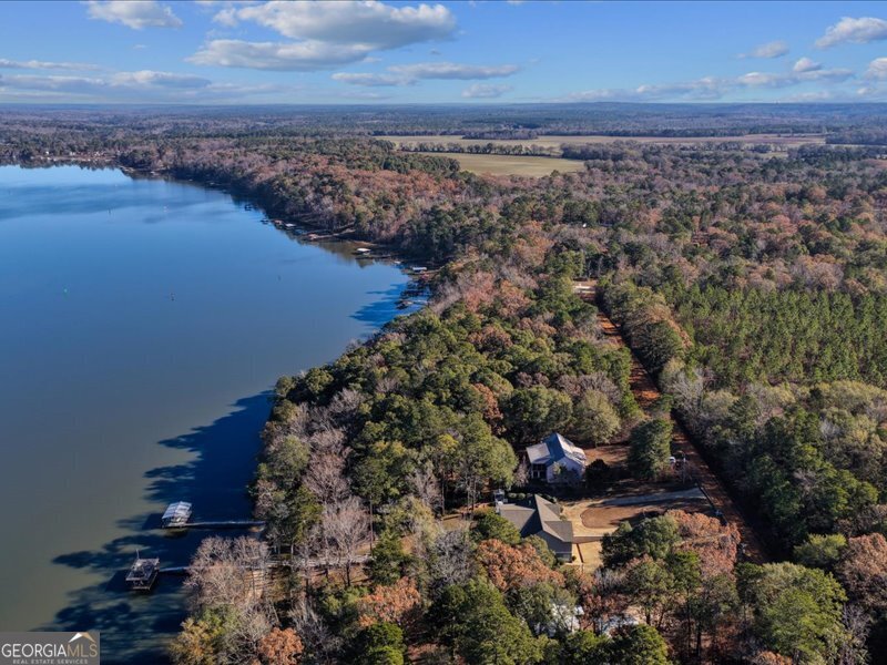 221 Sunset Point Road Fort Gaines, GA 39851 - Photo 52 of 58