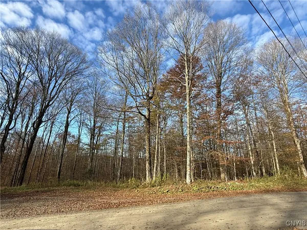 $16,750 | 0 Magpie Lane, Tully, NY 13159