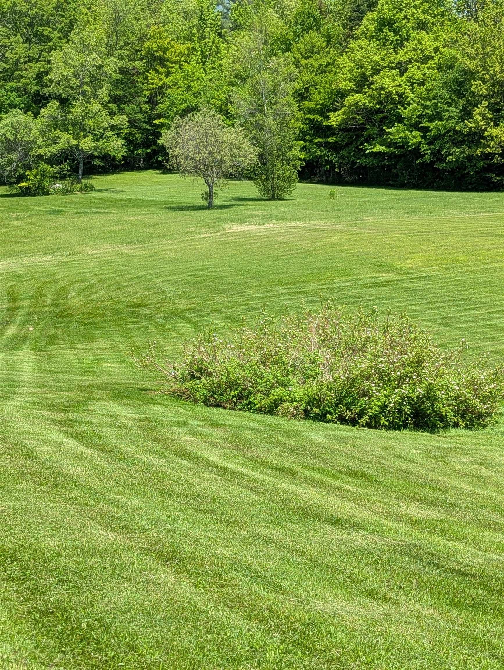 97 Frost Hill Road Mount Holly, VT 05730 - Photo 50 of 54