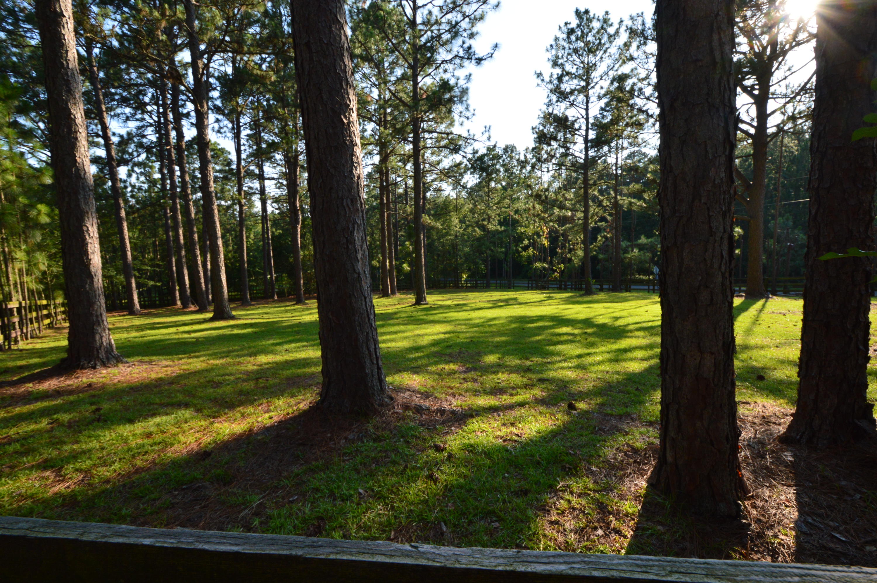 2963 Lakebay Road Vass, NC 28394 - Photo 11 of 41 DSC_0020