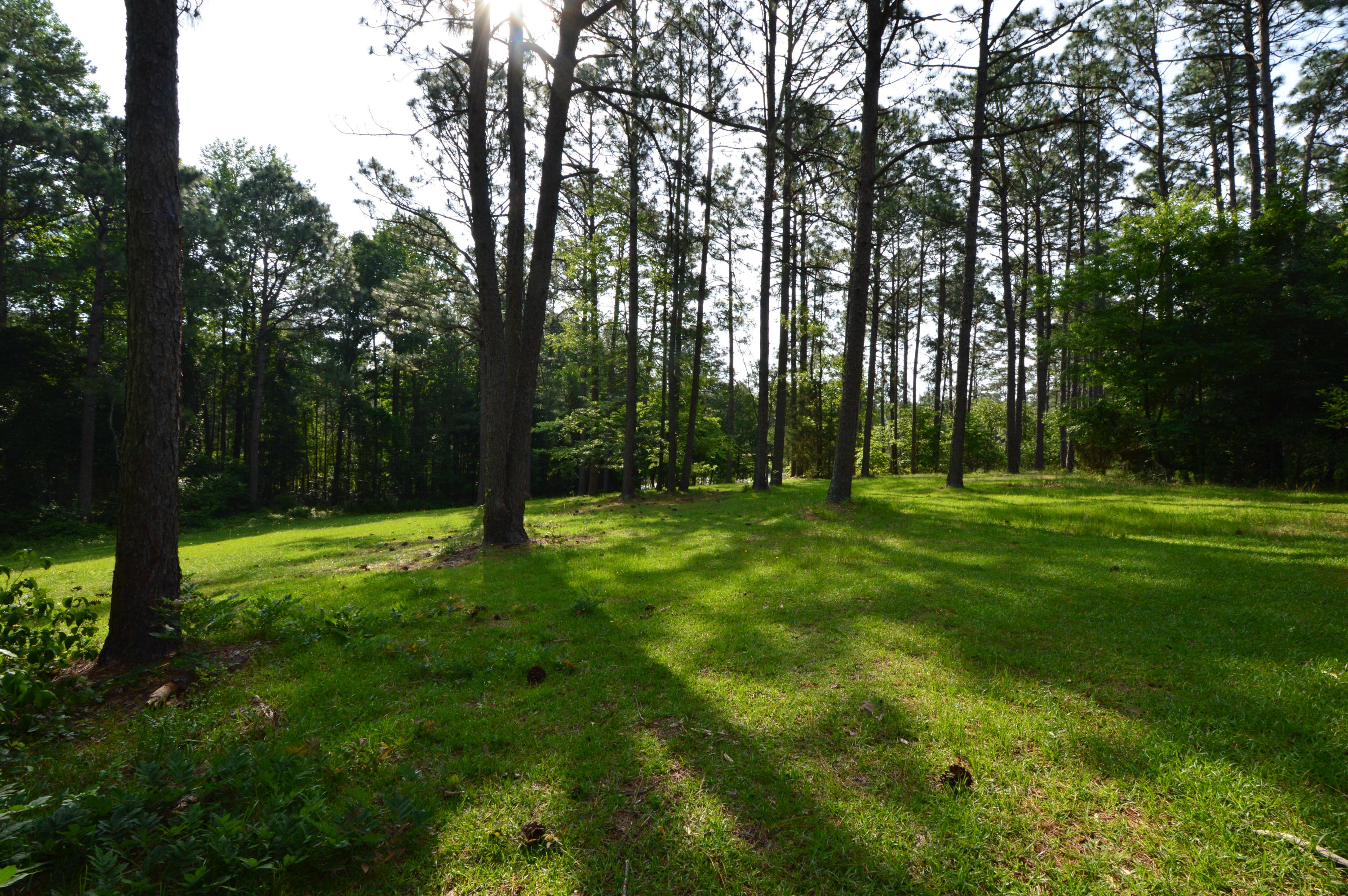 2963 Lakebay Road Vass, NC 28394 - Photo 12 of 41 DSC_0017
