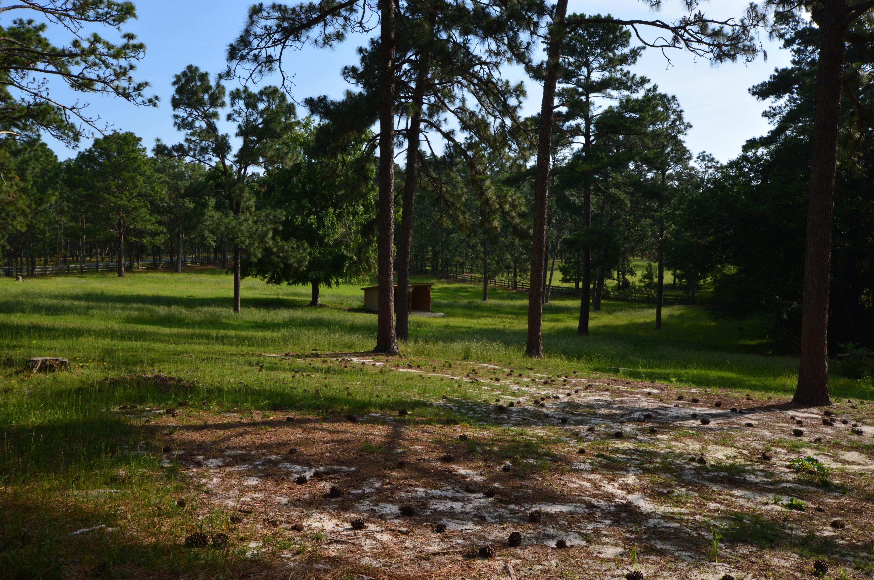 2963 Lakebay Road Vass, NC 28394 - Photo 13 of 41 DSC_0015