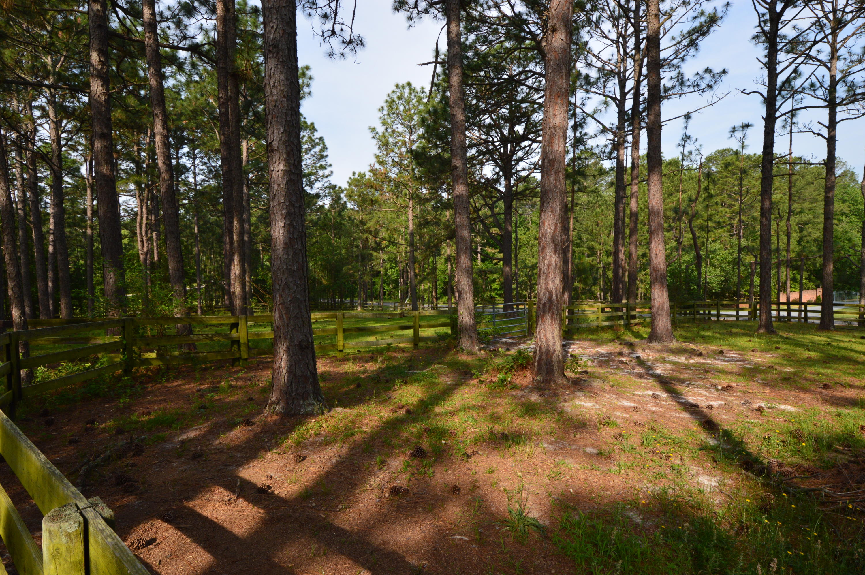 2963 Lakebay Road Vass, NC 28394 - Photo 14 of 41 DSC_0002