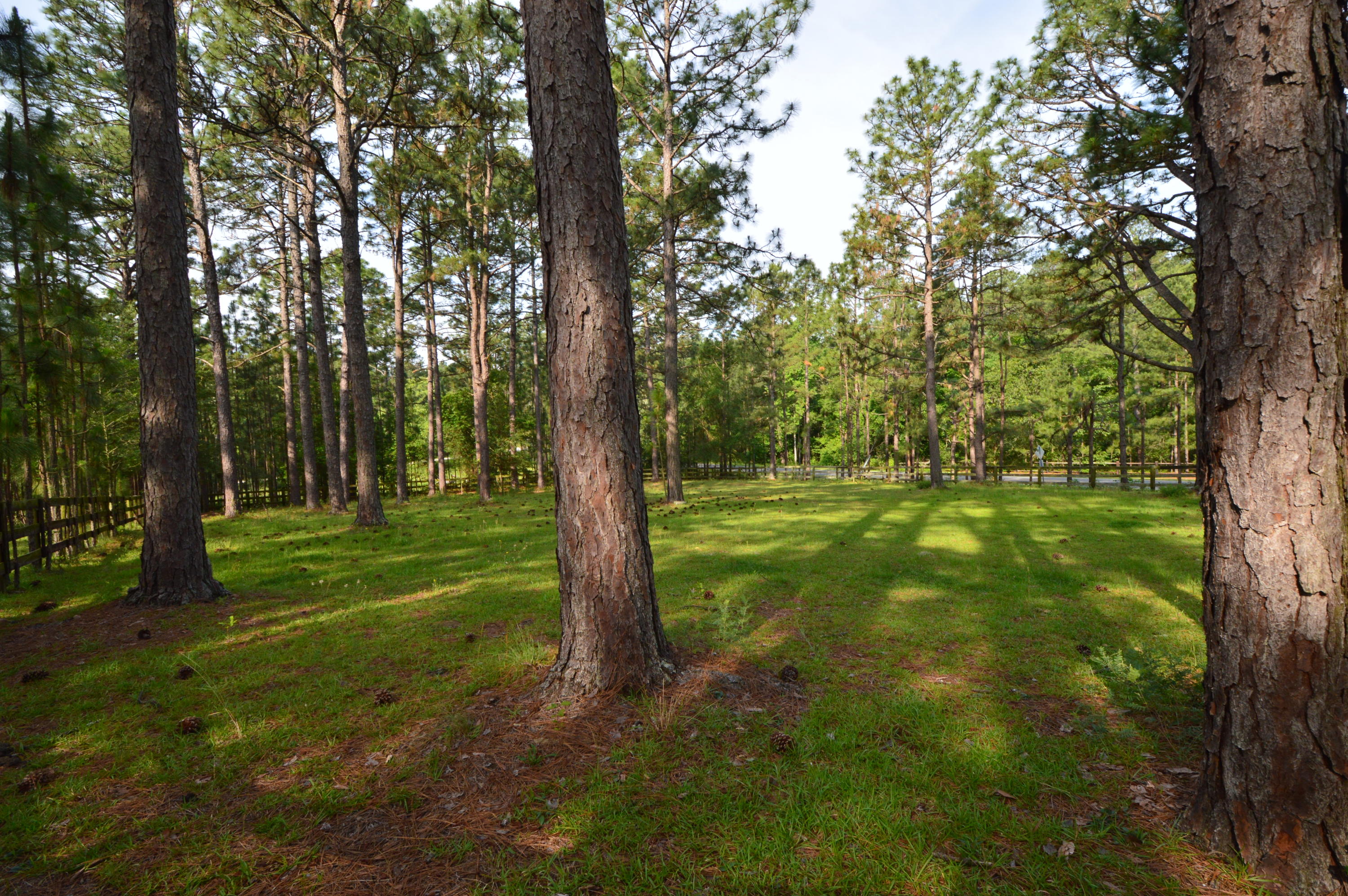 2963 Lakebay Road Vass, NC 28394 - Photo 15 of 41 DSC_0003