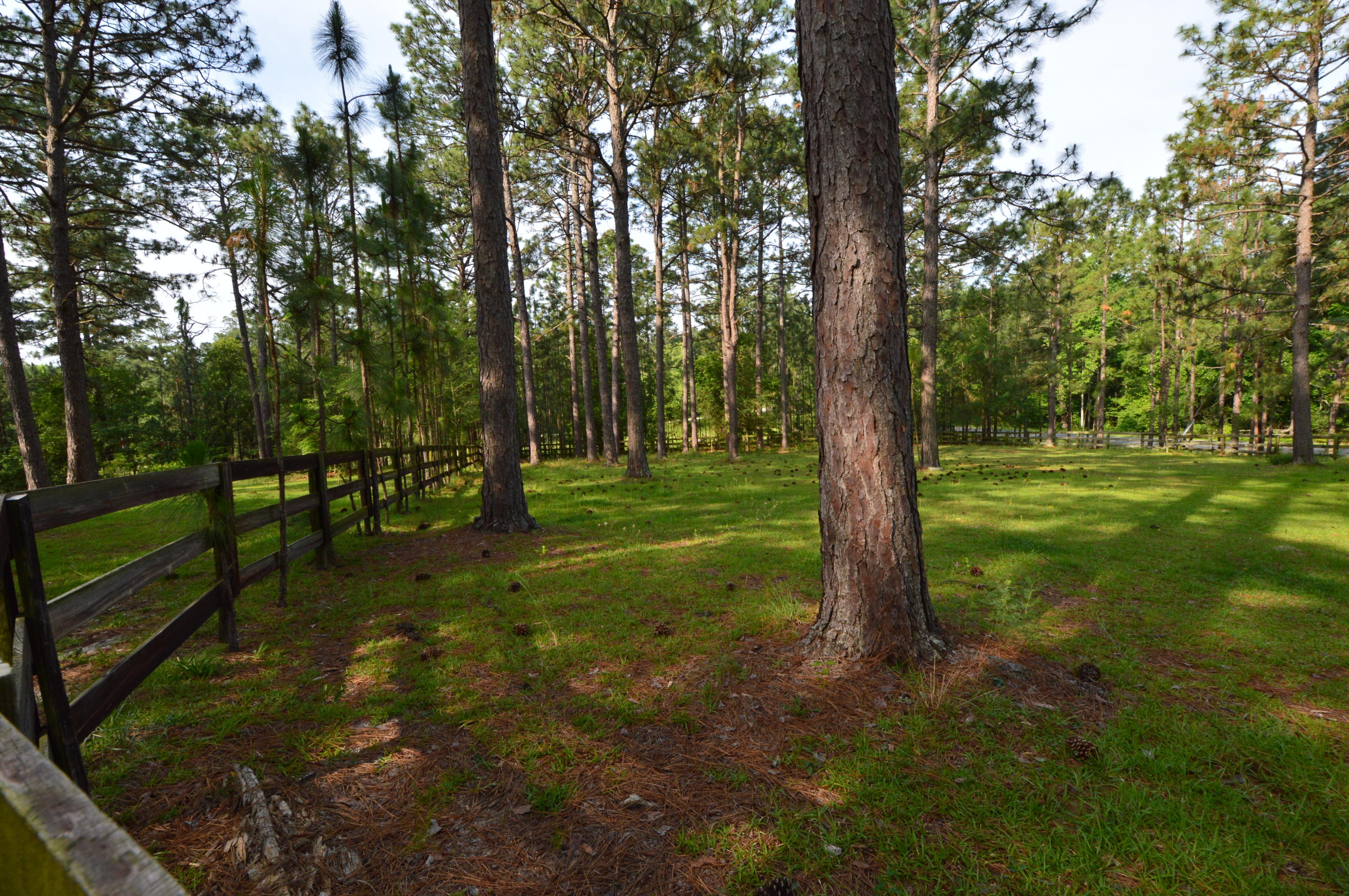 2963 Lakebay Road Vass, NC 28394 - Photo 16 of 41 DSC_0004