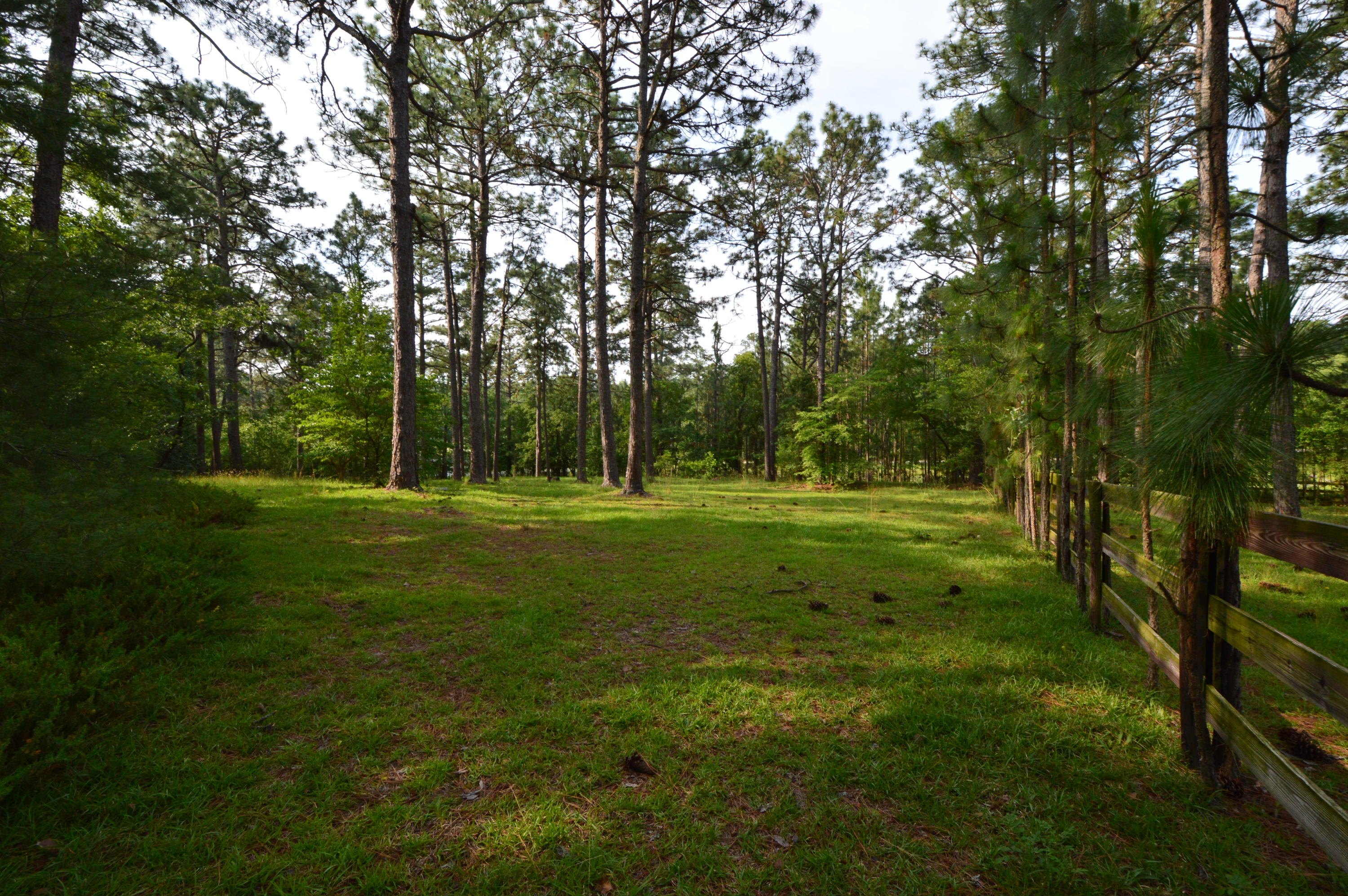 2963 Lakebay Road Vass, NC 28394 - Photo 17 of 41 DSC_0006