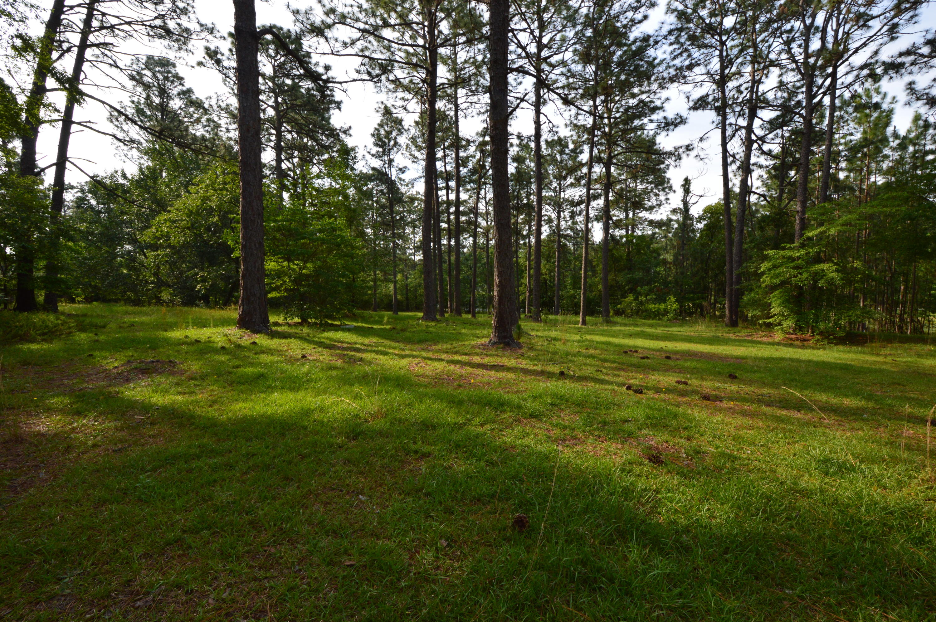2963 Lakebay Road Vass, NC 28394 - Photo 18 of 41 DSC_0007