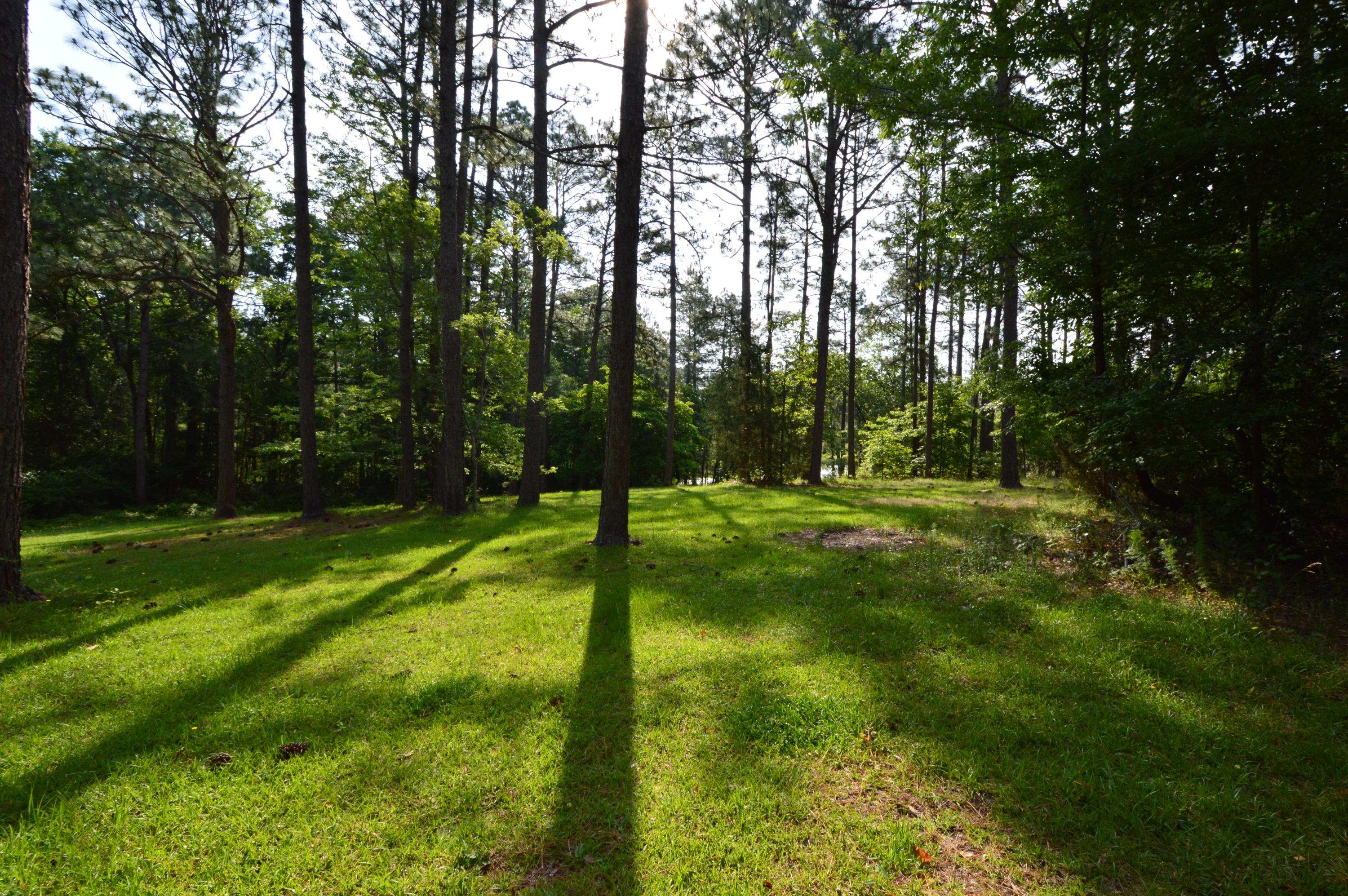 2963 Lakebay Road Vass, NC 28394 - Photo 19 of 41 DSC_0019