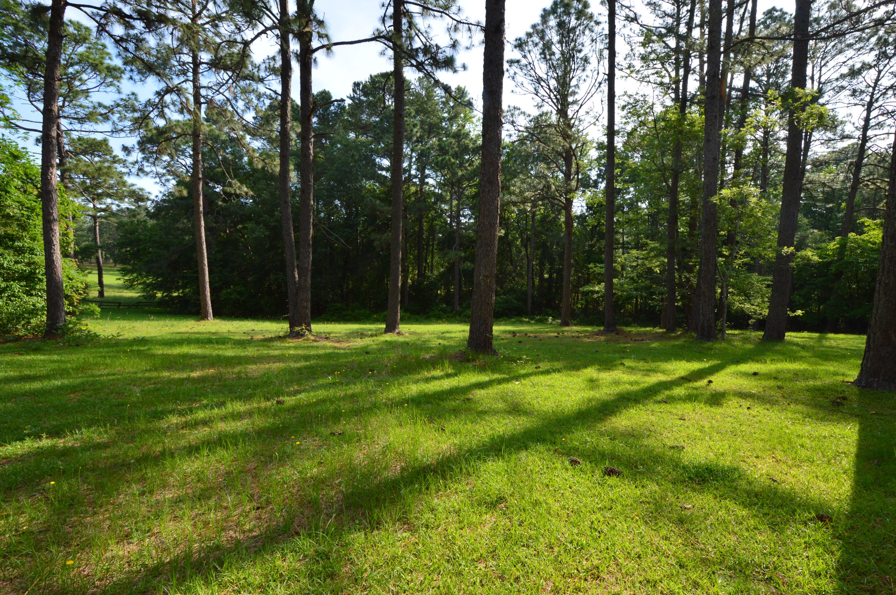 2963 Lakebay Road Vass, NC 28394 - Photo 2 of 41 DSC_0020