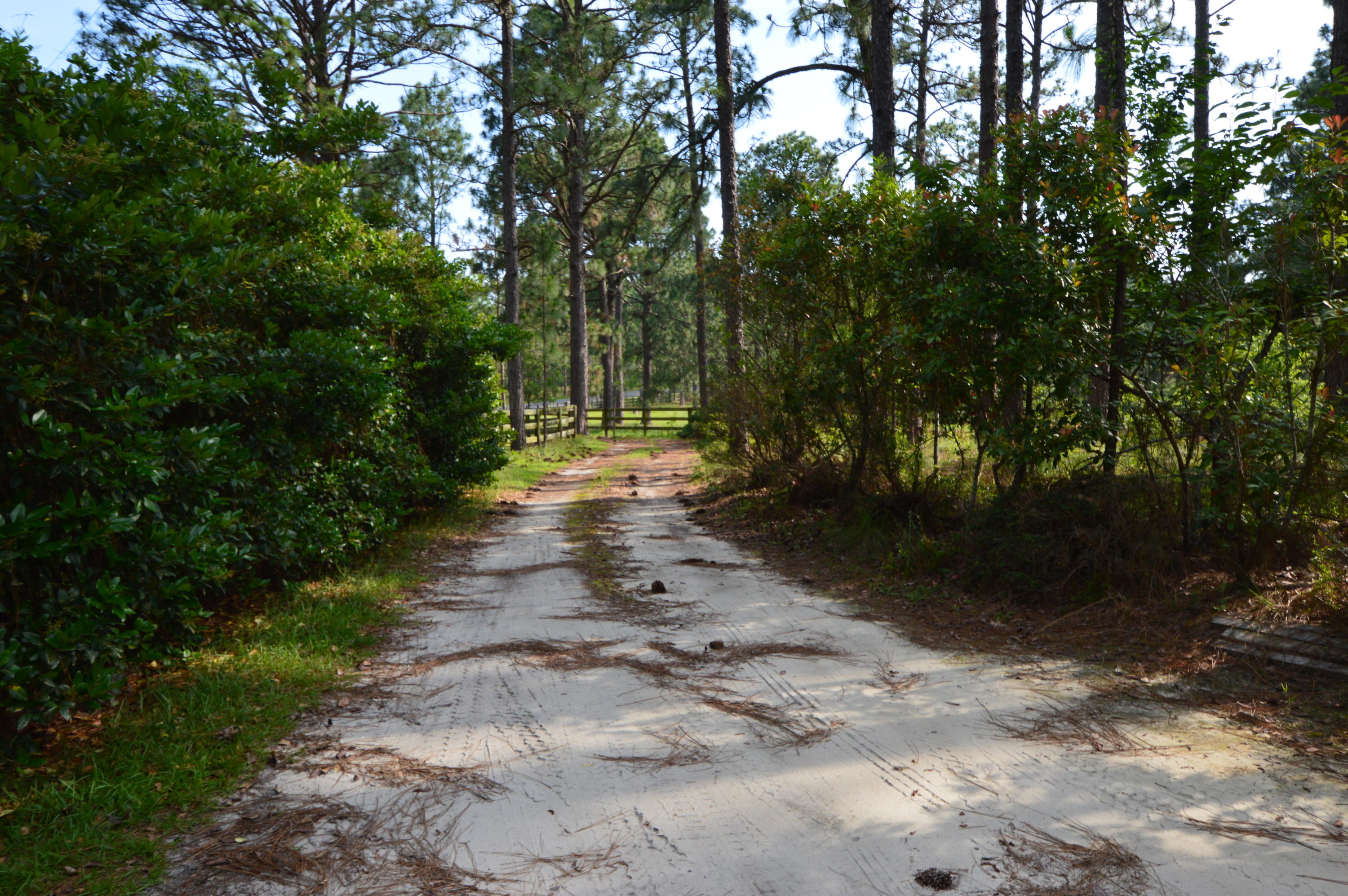2963 Lakebay Road Vass, NC 28394 - Photo 21 of 41 DSC_0032