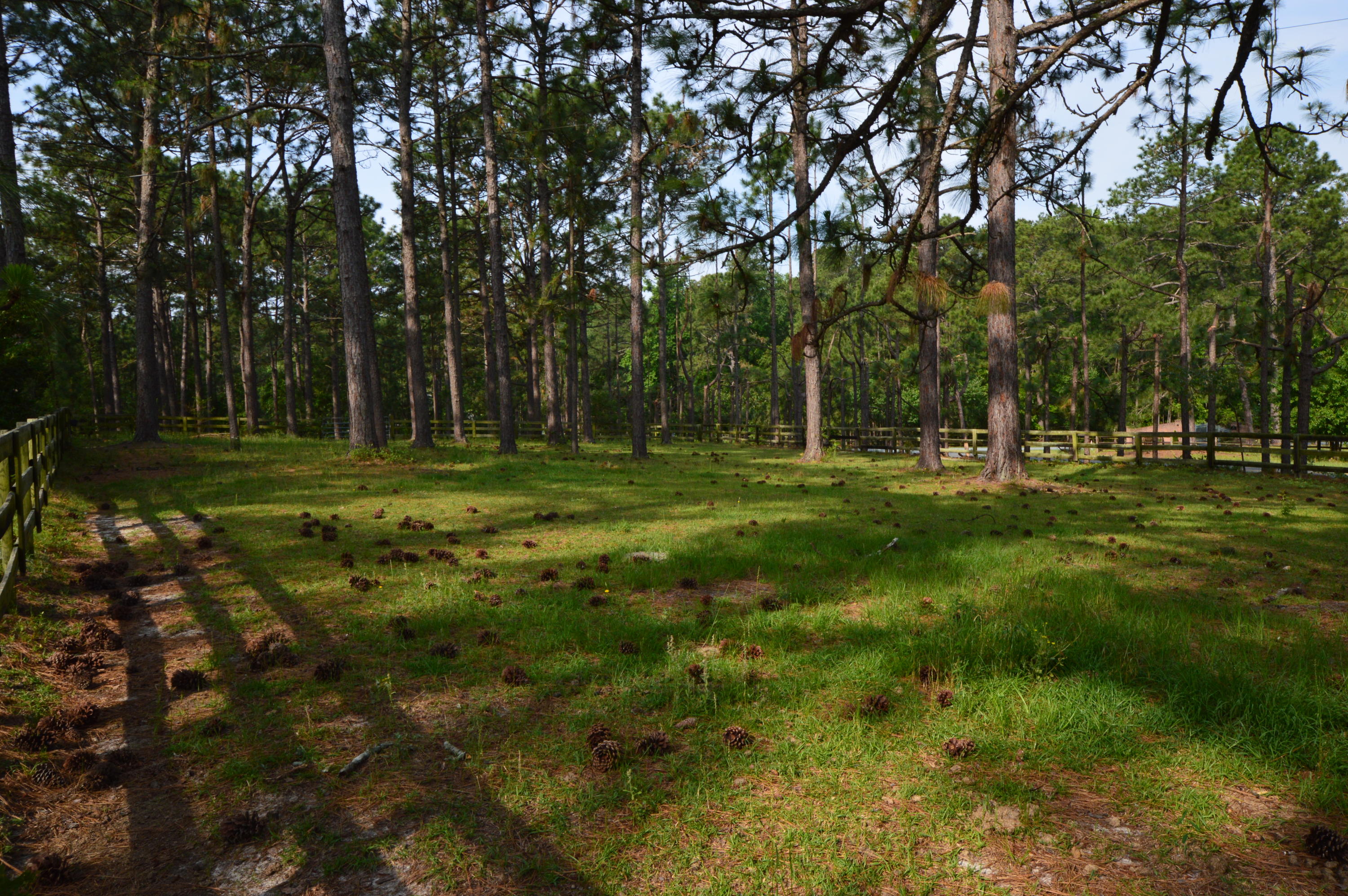 2963 Lakebay Road Vass, NC 28394 - Photo 22 of 41 DSC_0034