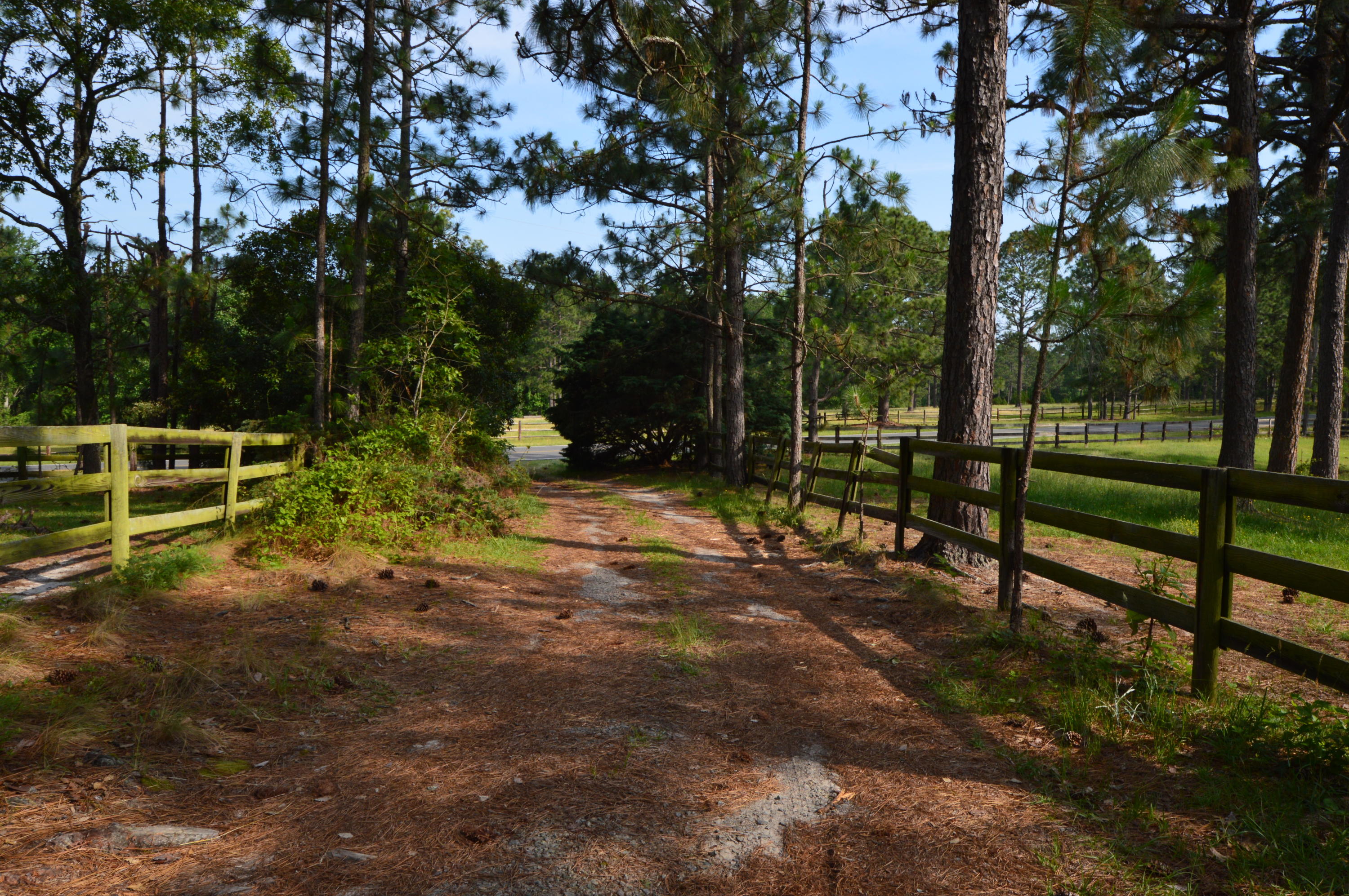 2963 Lakebay Road Vass, NC 28394 - Photo 23 of 41 DSC_0035