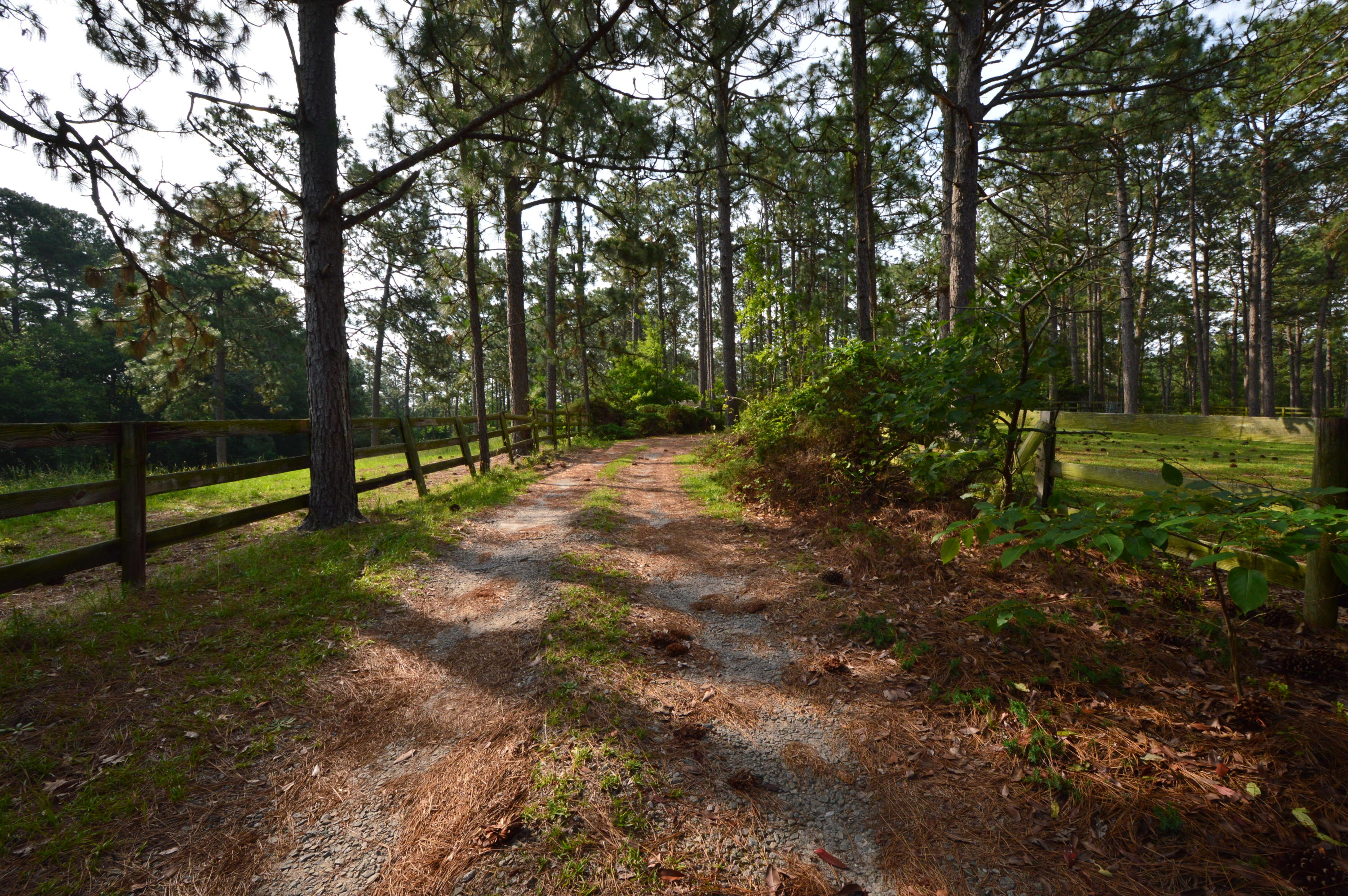 2963 Lakebay Road Vass, NC 28394 - Photo 25 of 41 DSC_0040