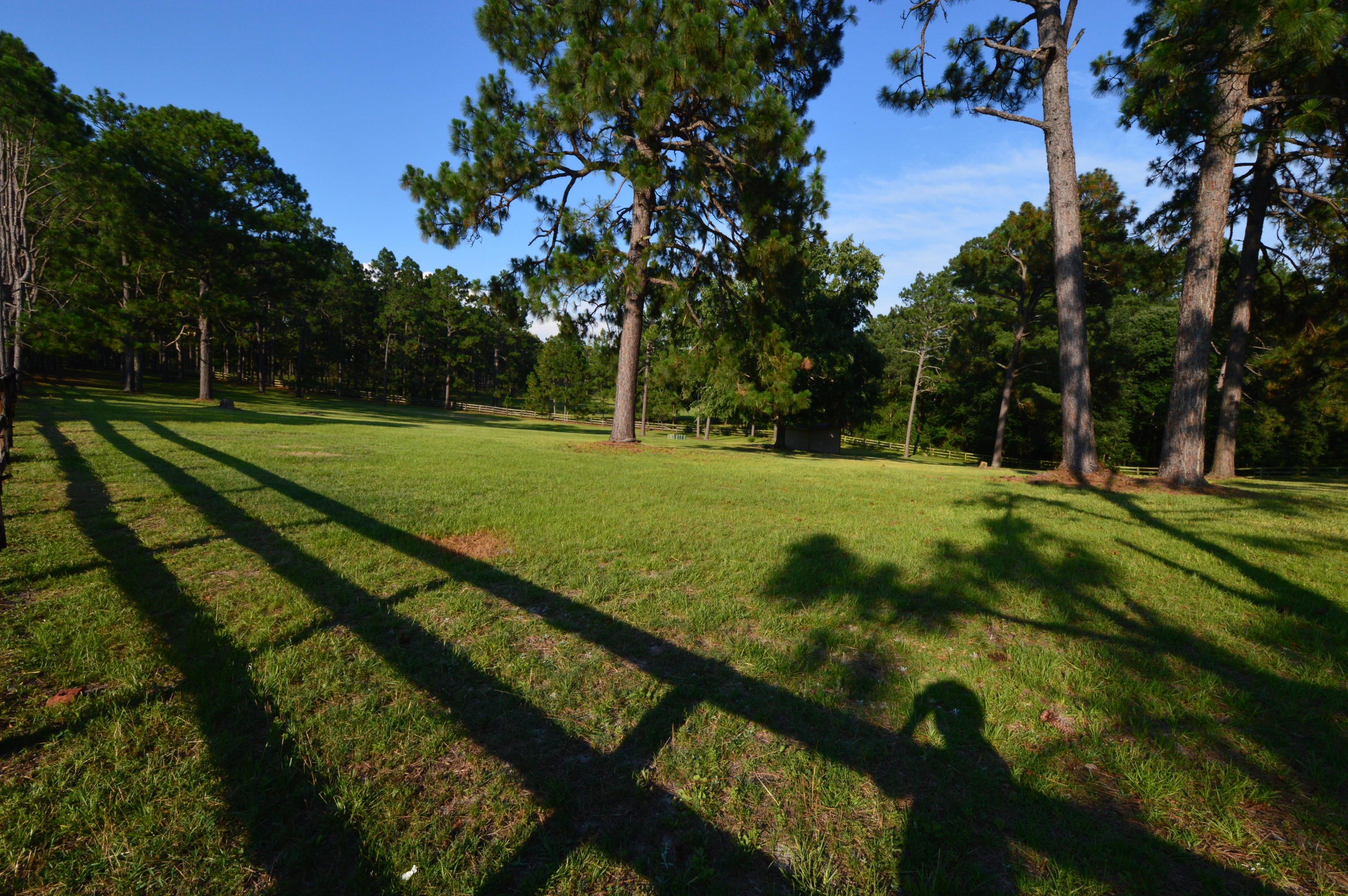 2963 Lakebay Road Vass, NC 28394 - Photo 28 of 41 DSC_0003