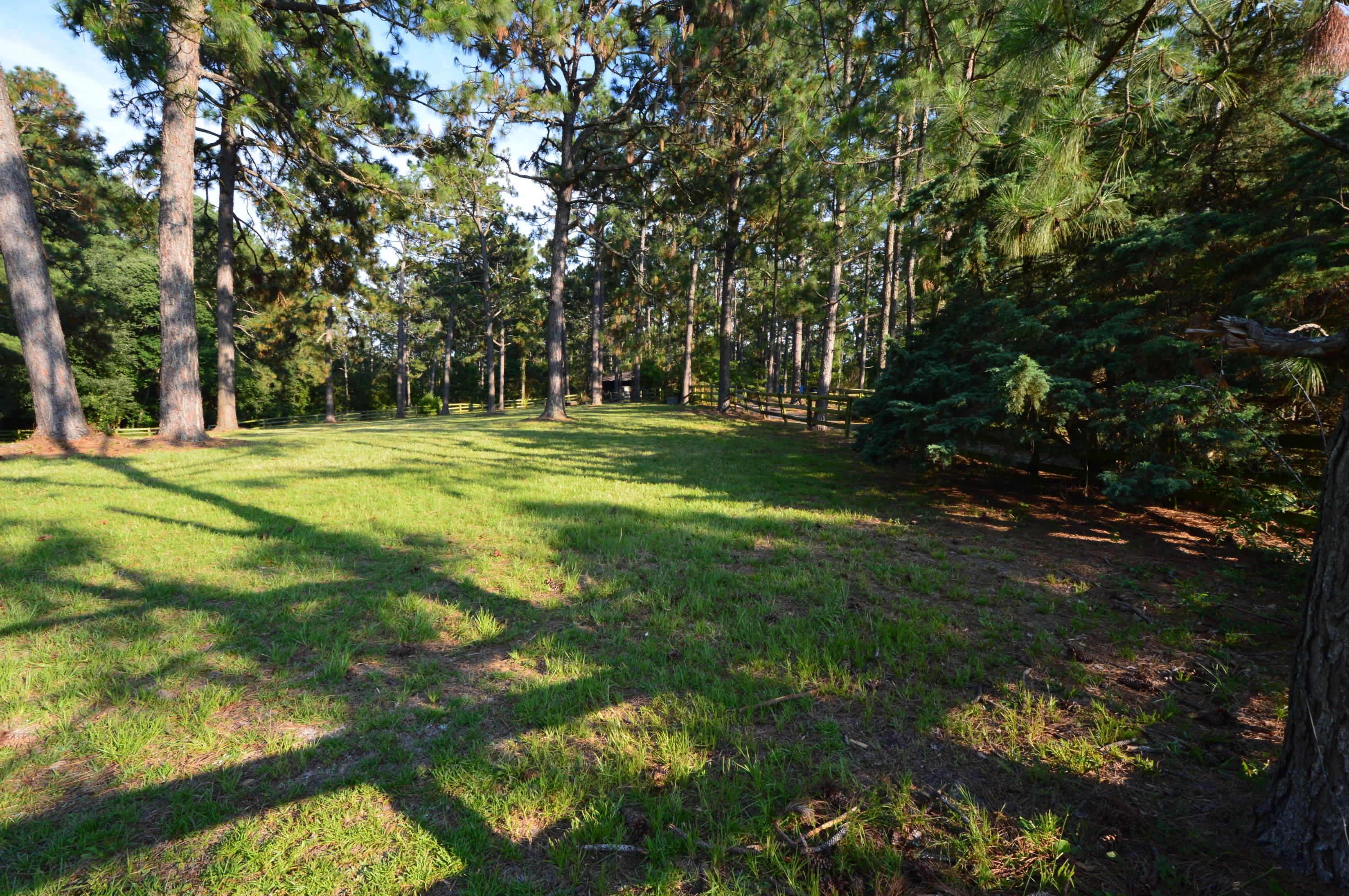 2963 Lakebay Road Vass, NC 28394 - Photo 30 of 41 DSC_0006