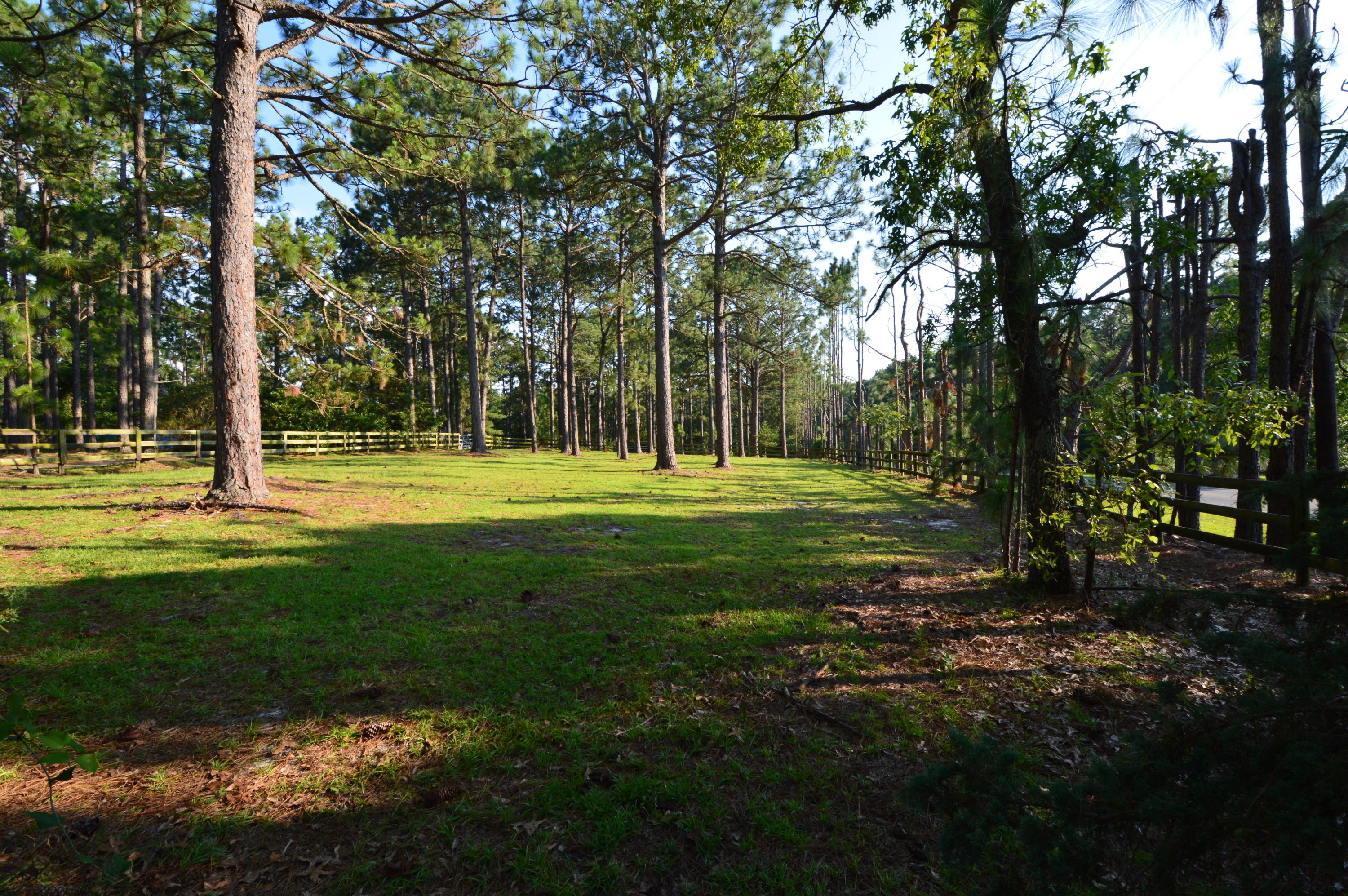 2963 Lakebay Road Vass, NC 28394 - Photo 31 of 41 DSC_0007