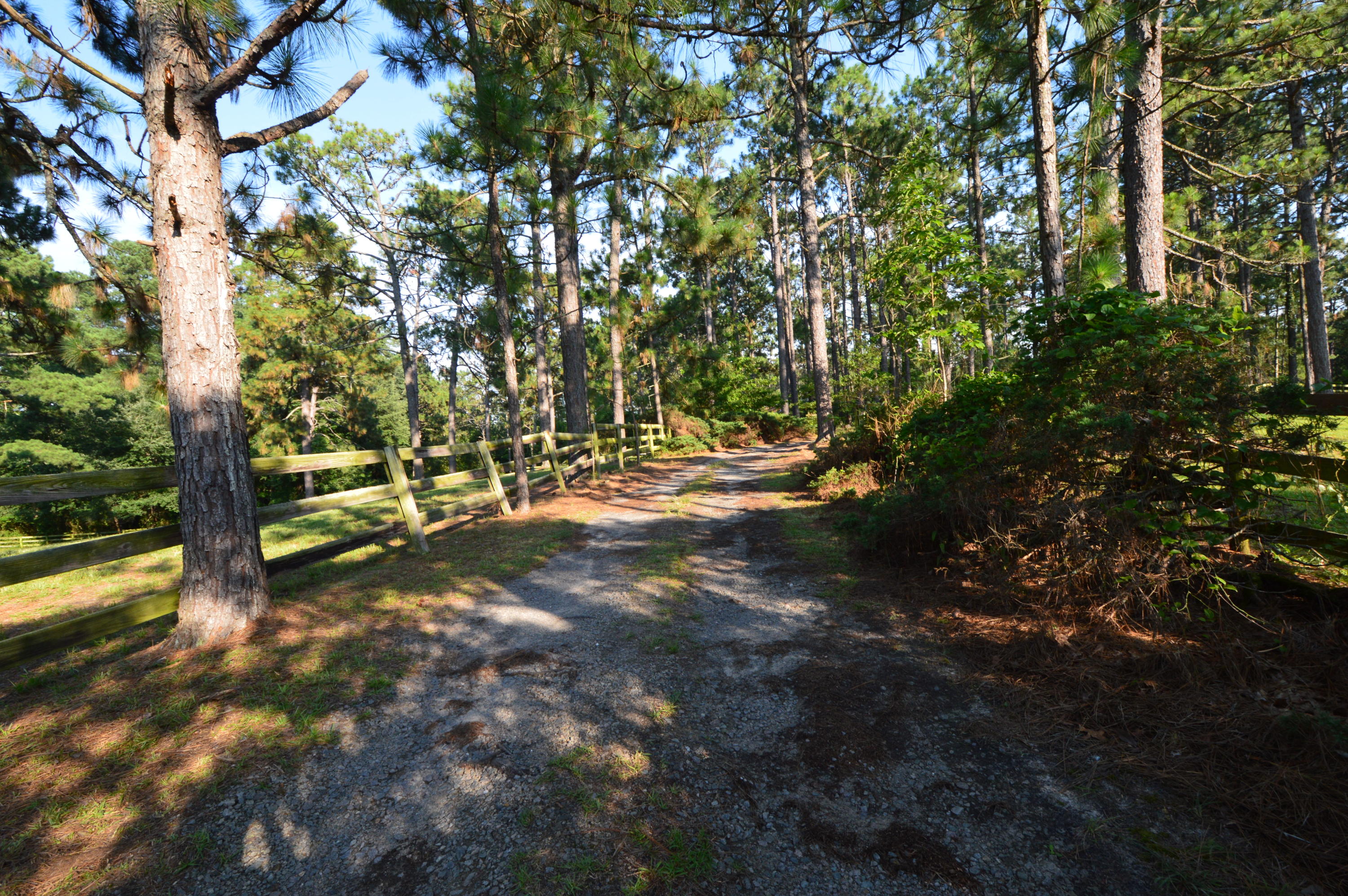 2963 Lakebay Road Vass, NC 28394 - Photo 32 of 41 DSC_0009