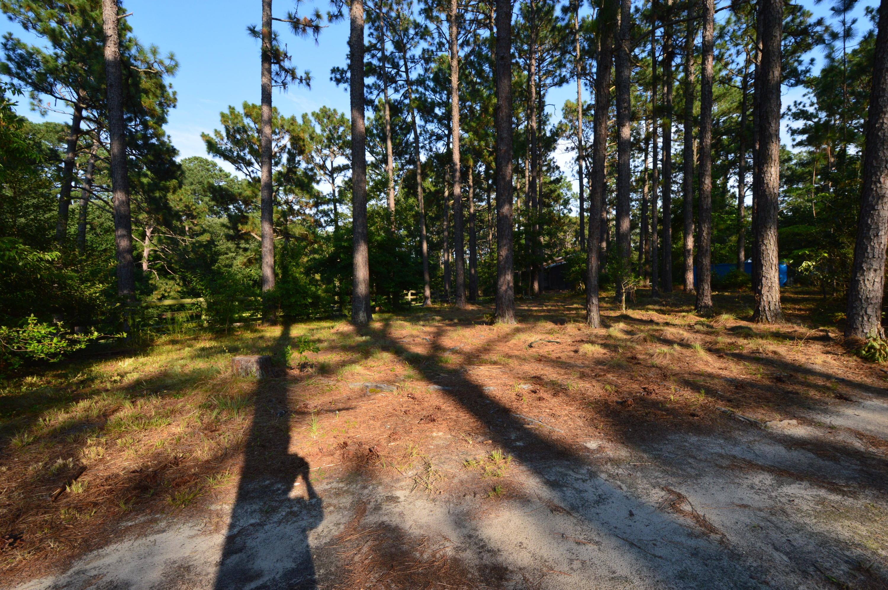 2963 Lakebay Road Vass, NC 28394 - Photo 33 of 41 DSC_0015